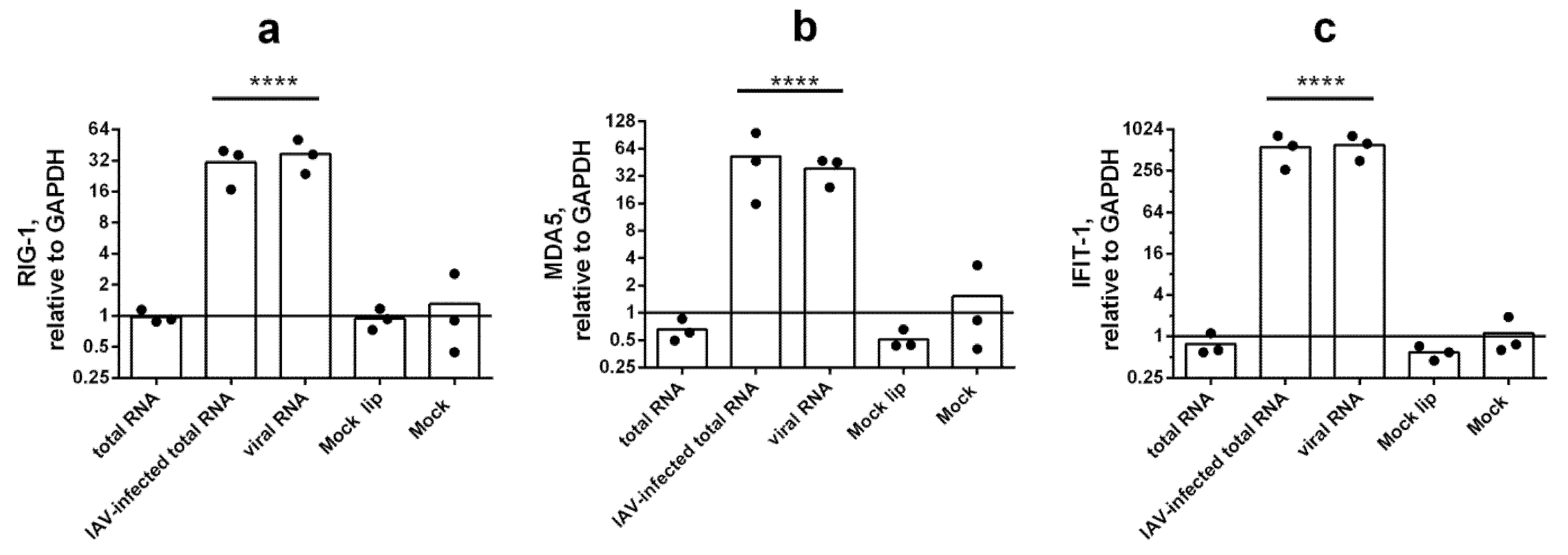 Viruses 14 02090 g003