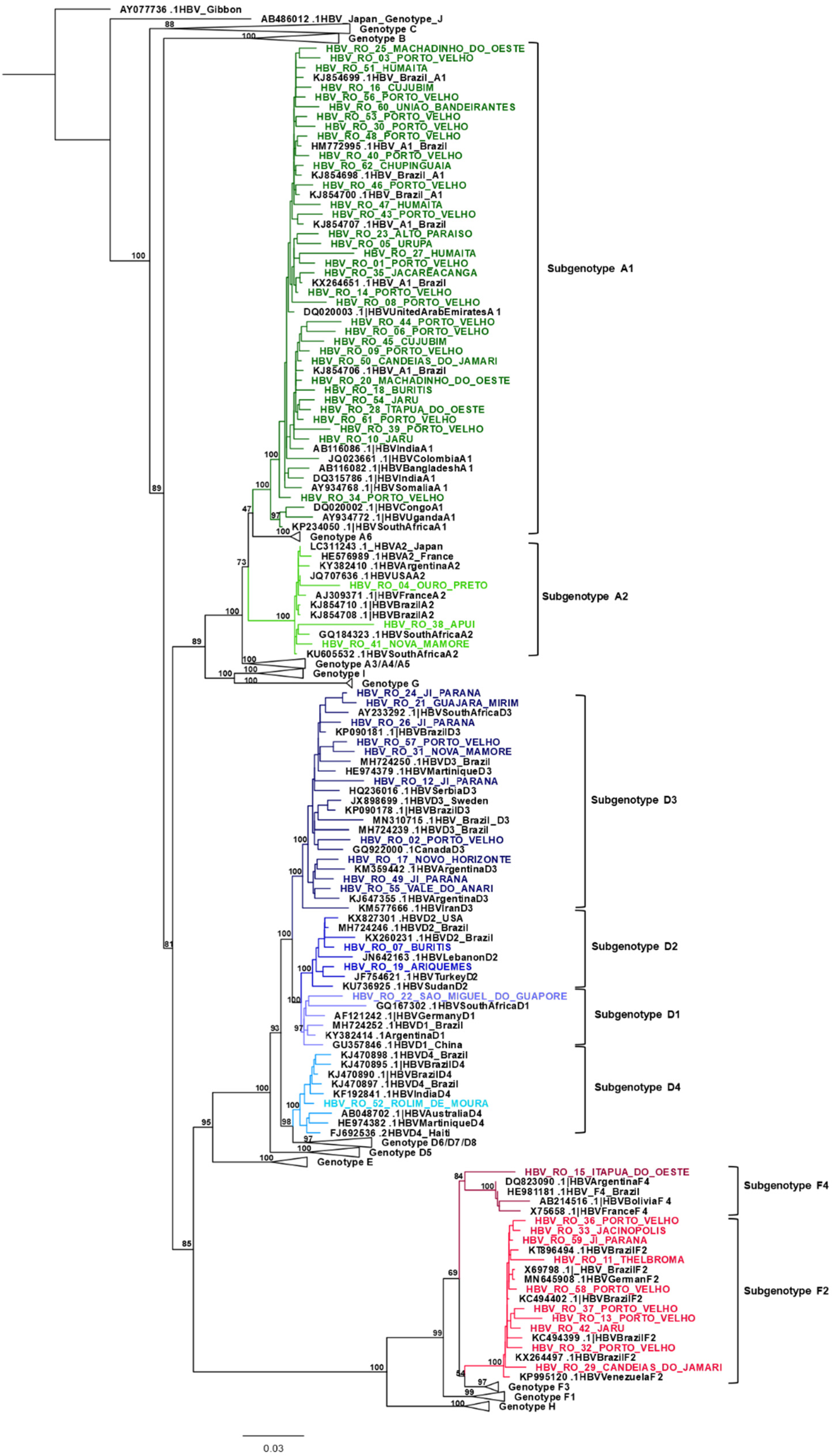 Viruses 14 02100 g001