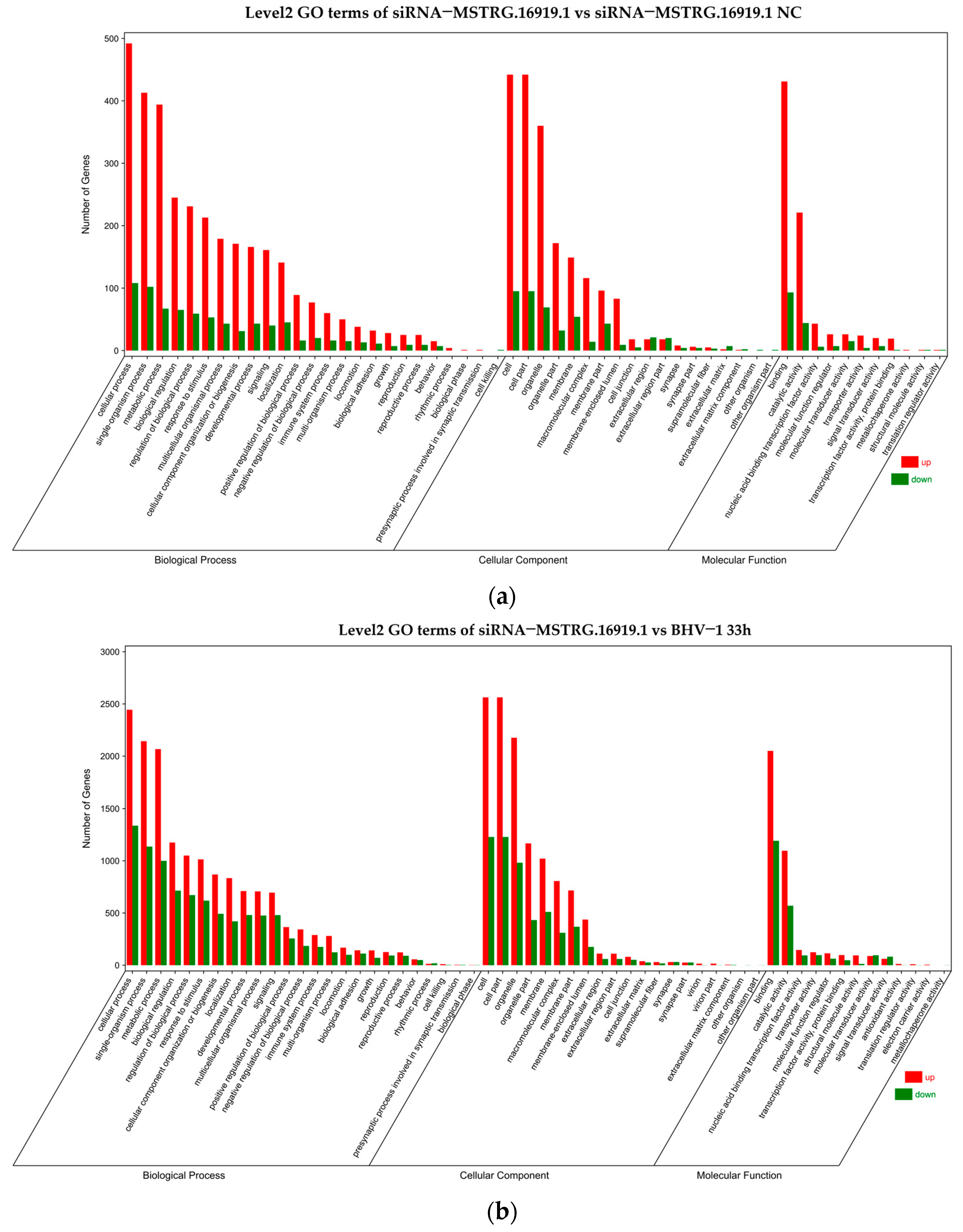Viruses 14 02104 g006