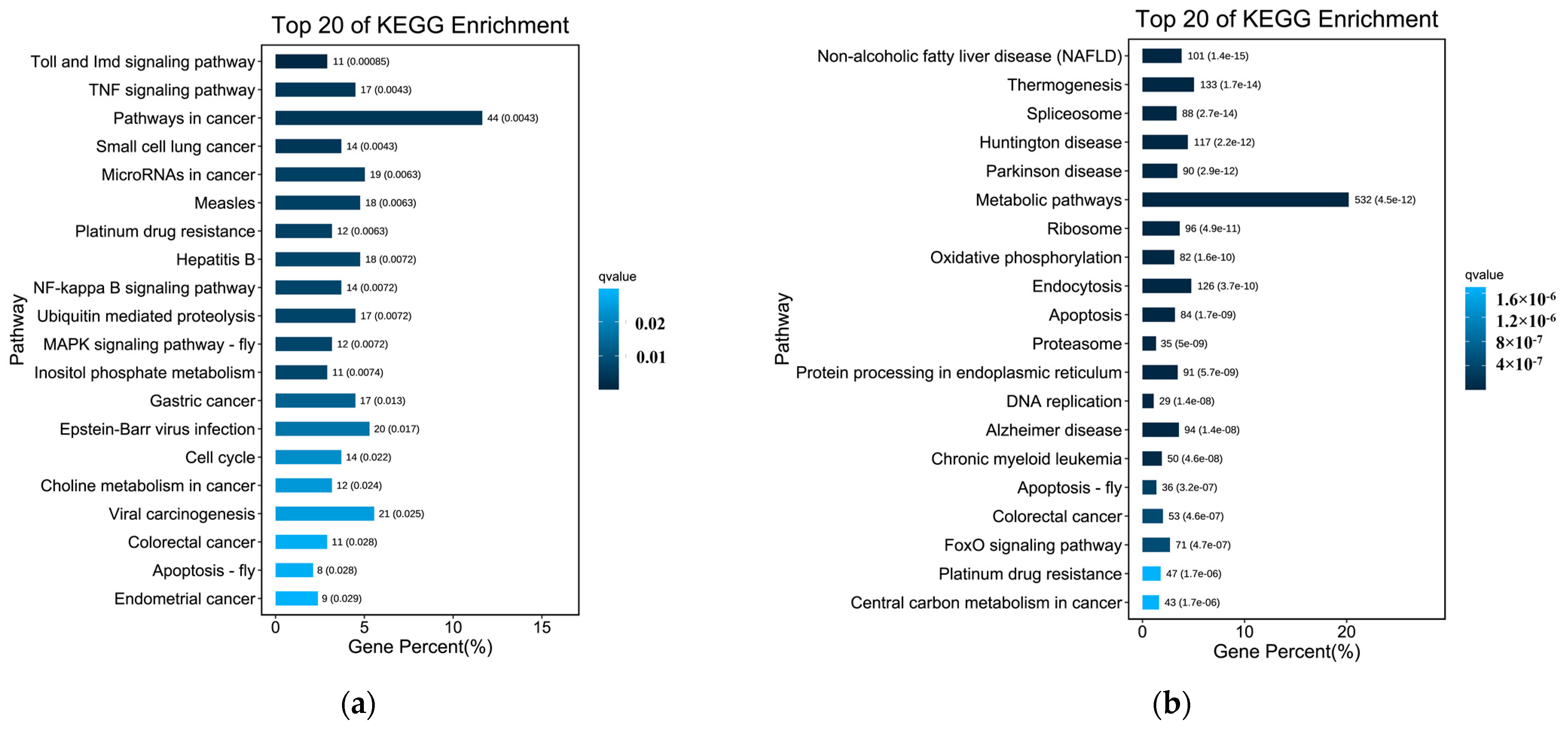 Viruses 14 02104 g007