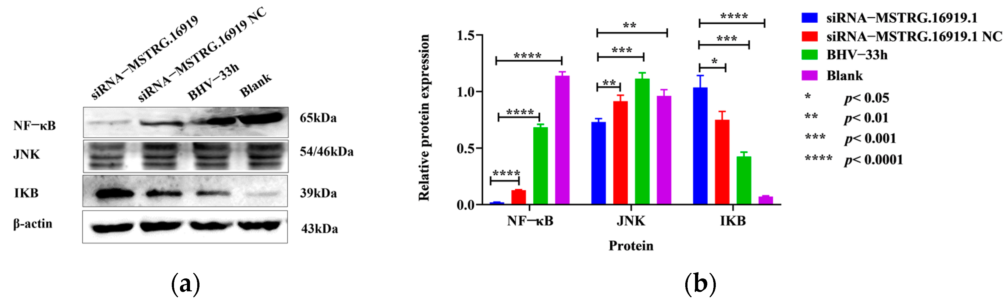 Viruses 14 02104 g008