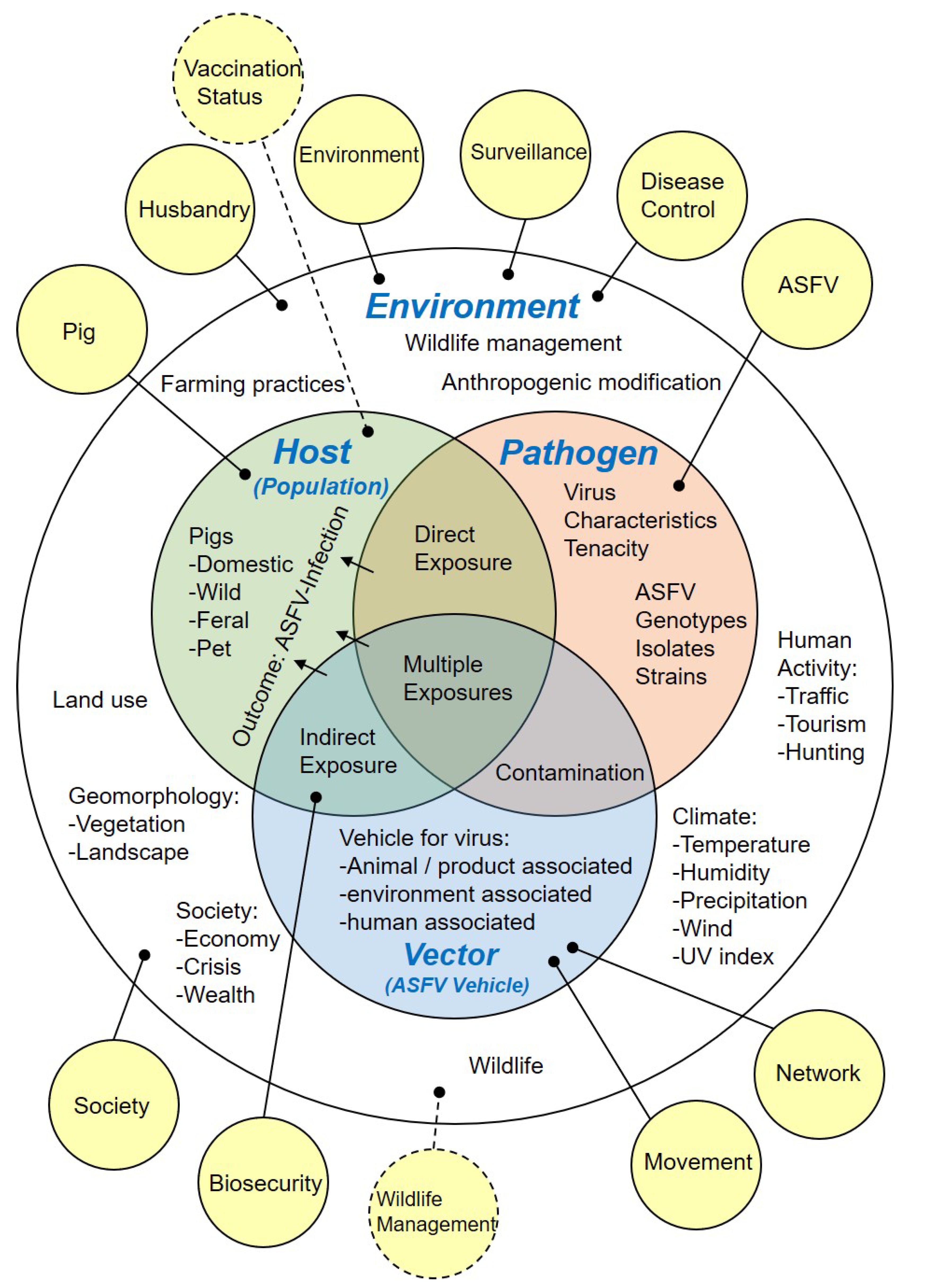 Viruses 14 02107 g003