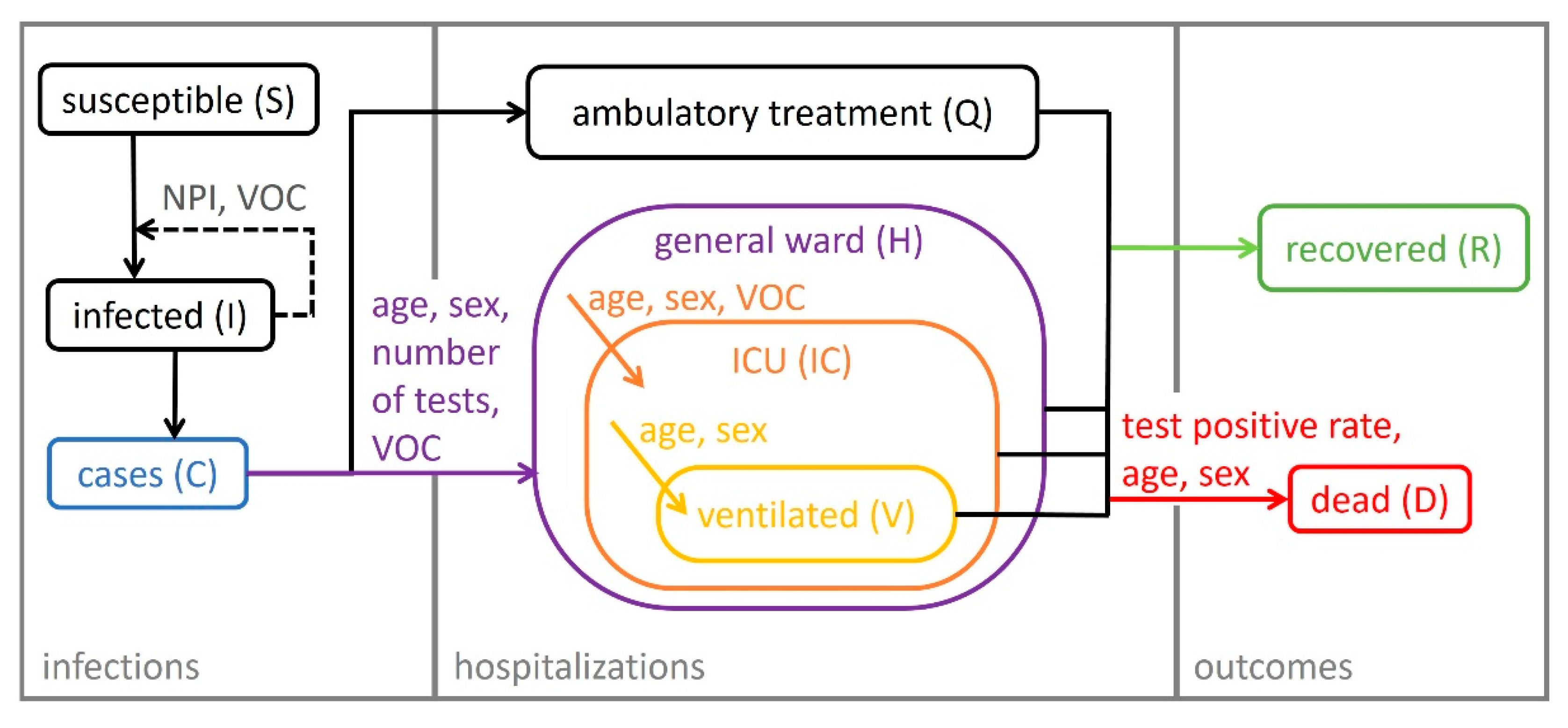 Viruses 14 02114 g001
