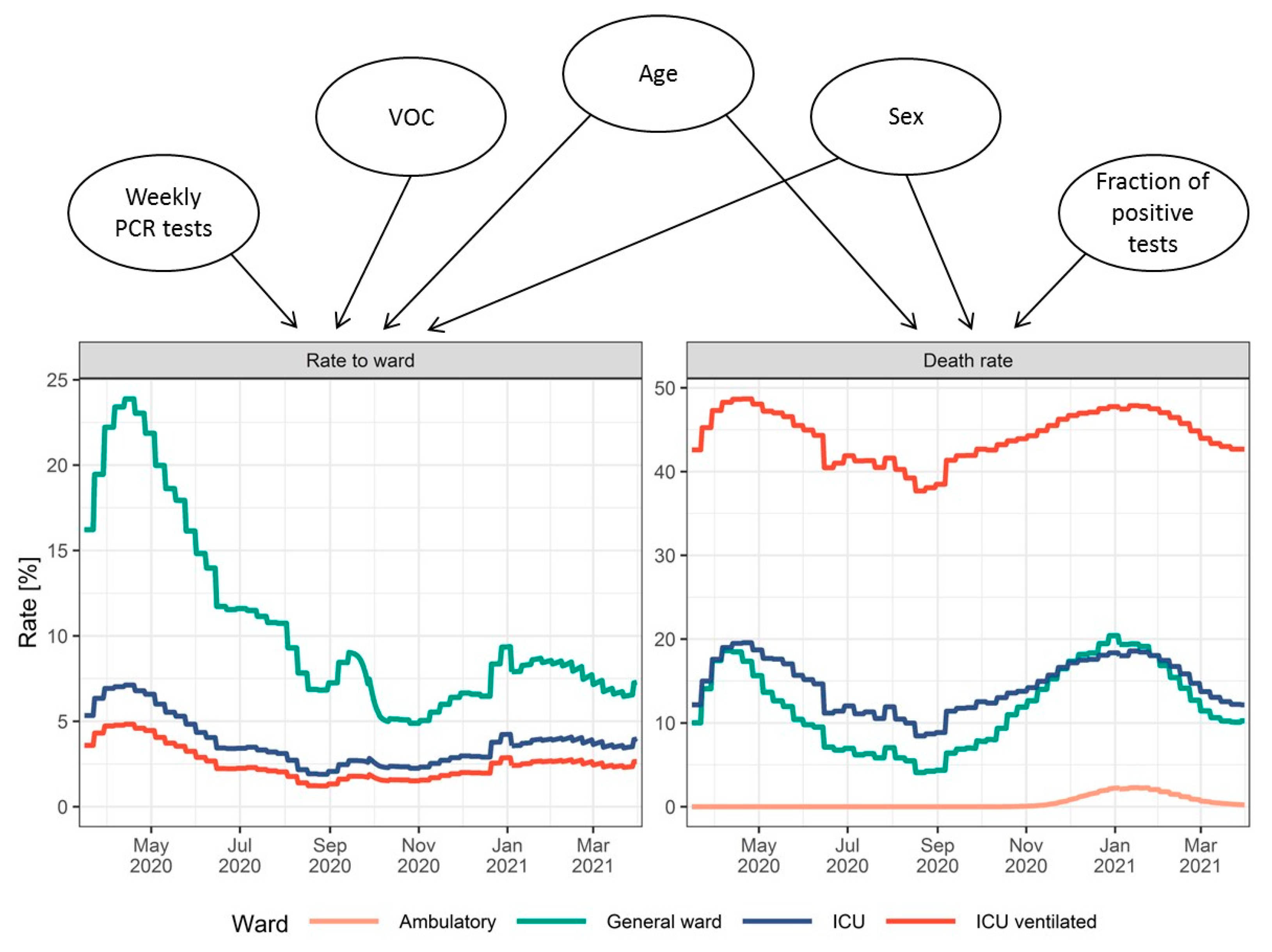 Viruses 14 02114 g009
