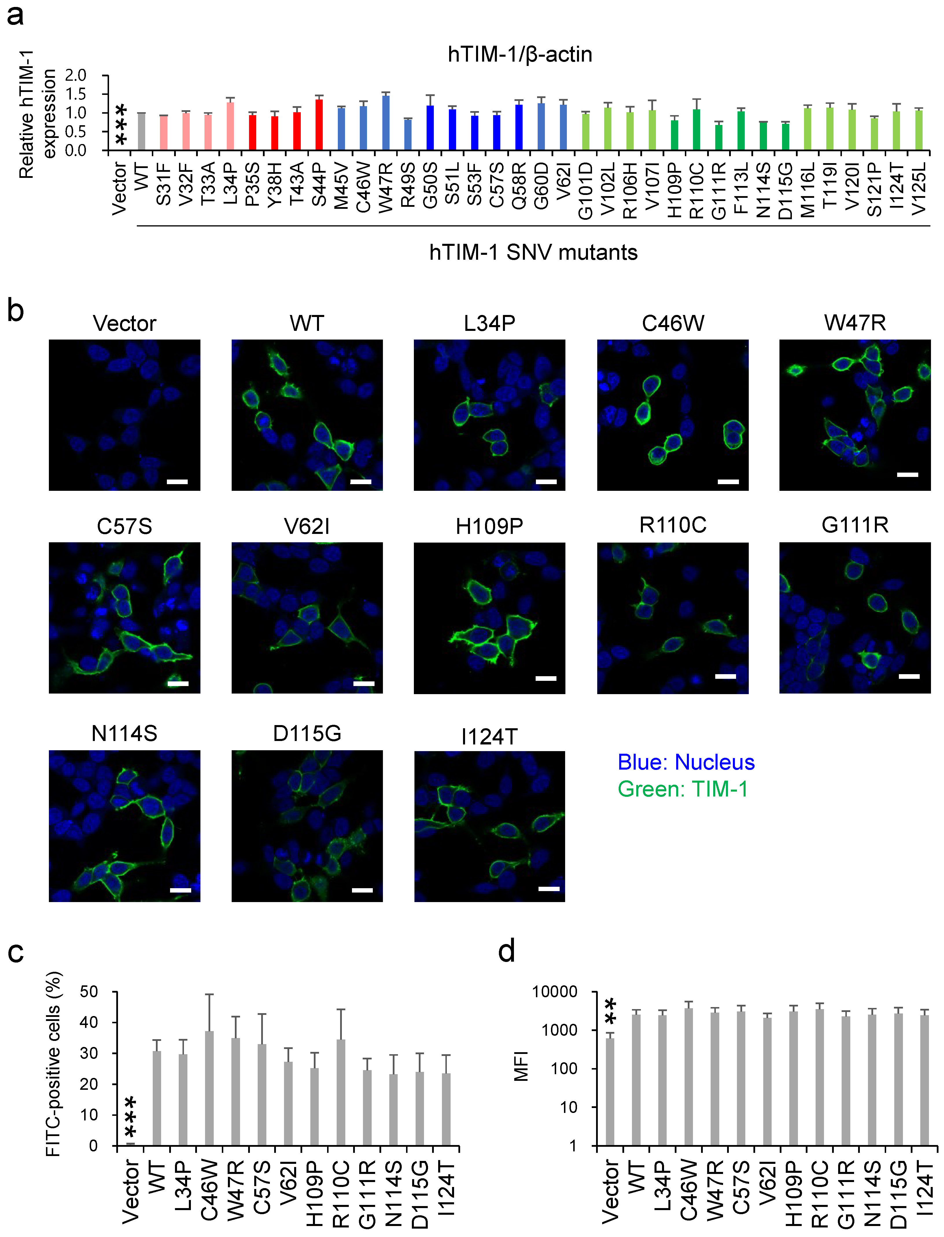 Viruses 14 02124 g003