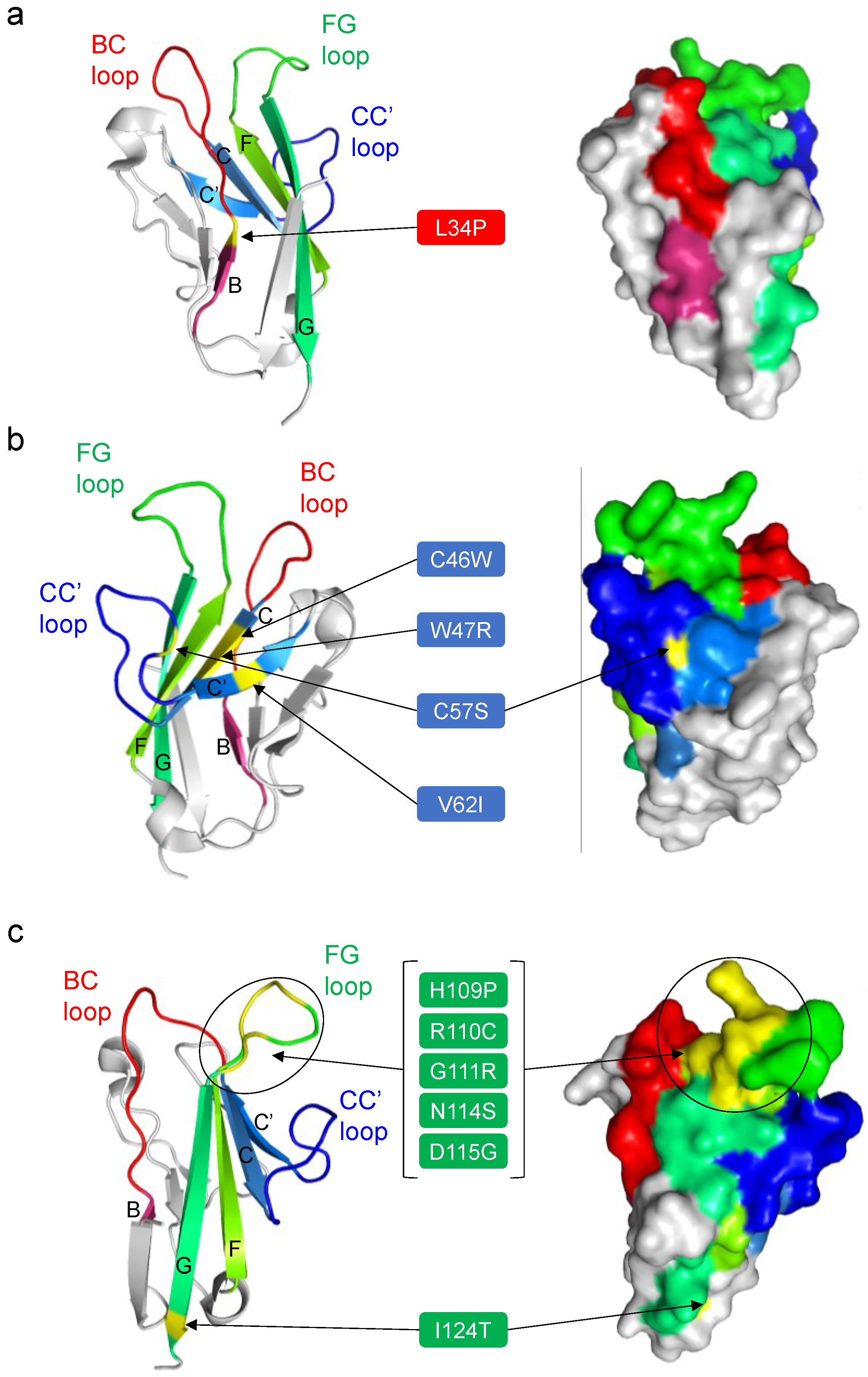 Viruses 14 02124 g005