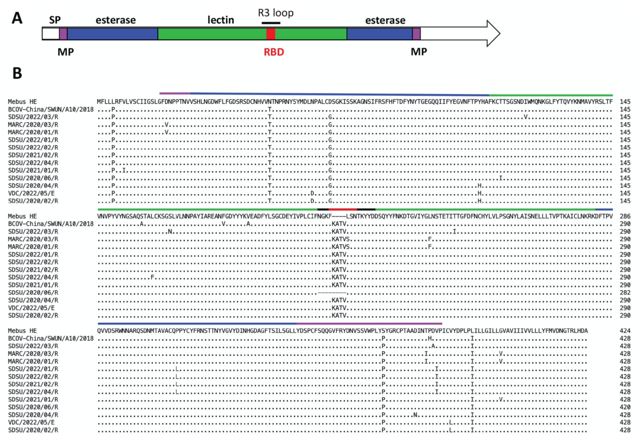 Viruses 14 02125 g001