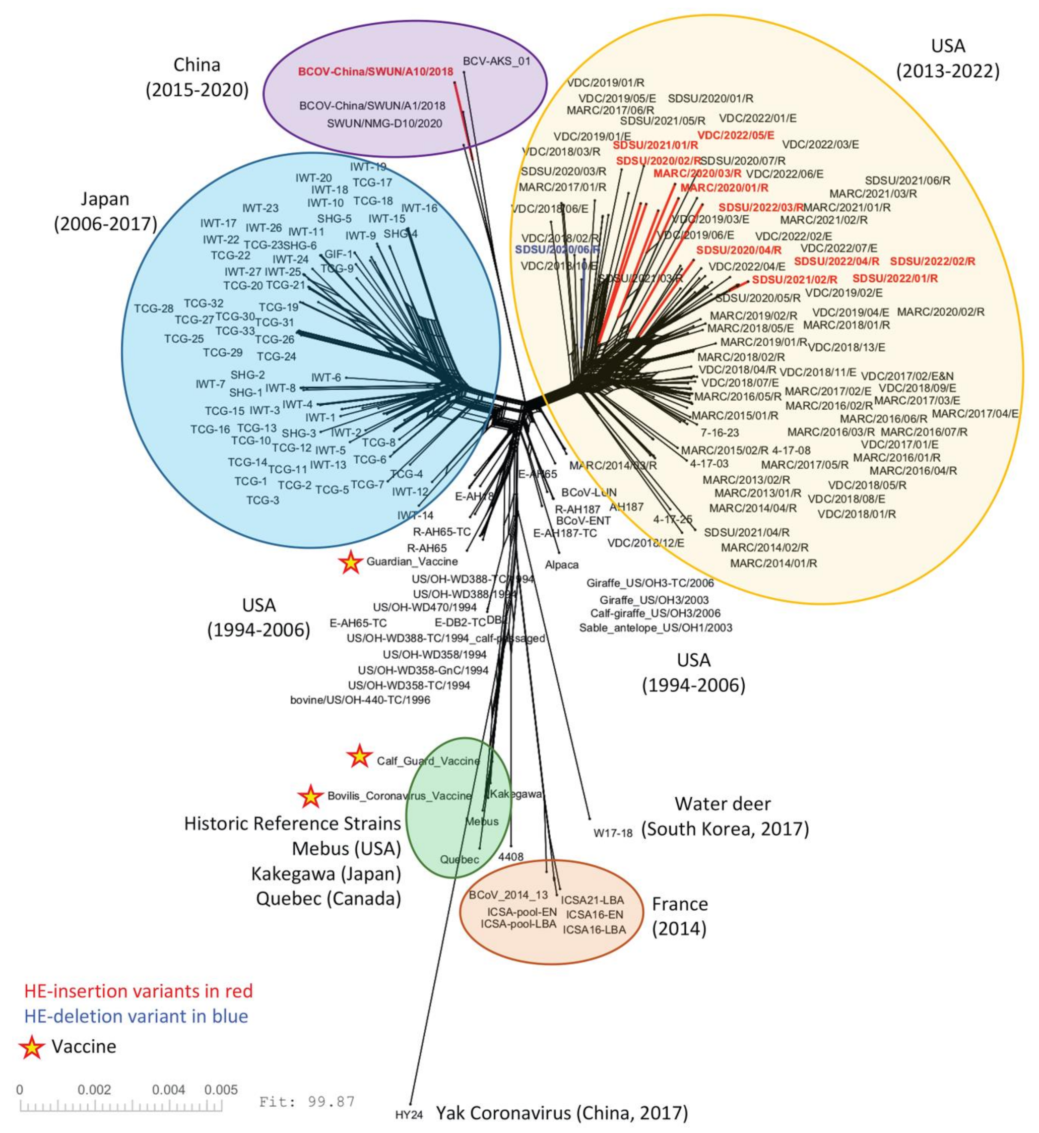 Viruses 14 02125 g002