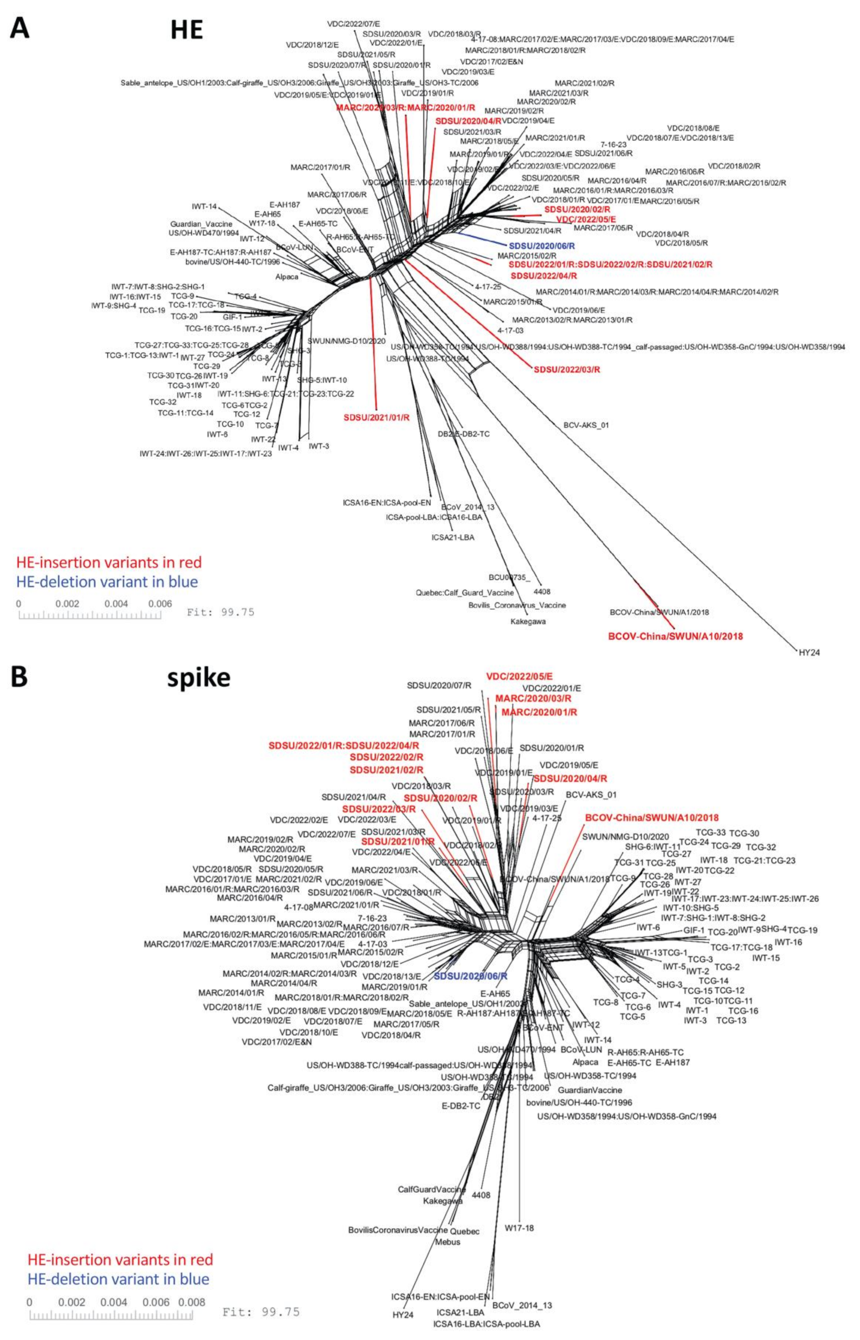 Viruses 14 02125 g003