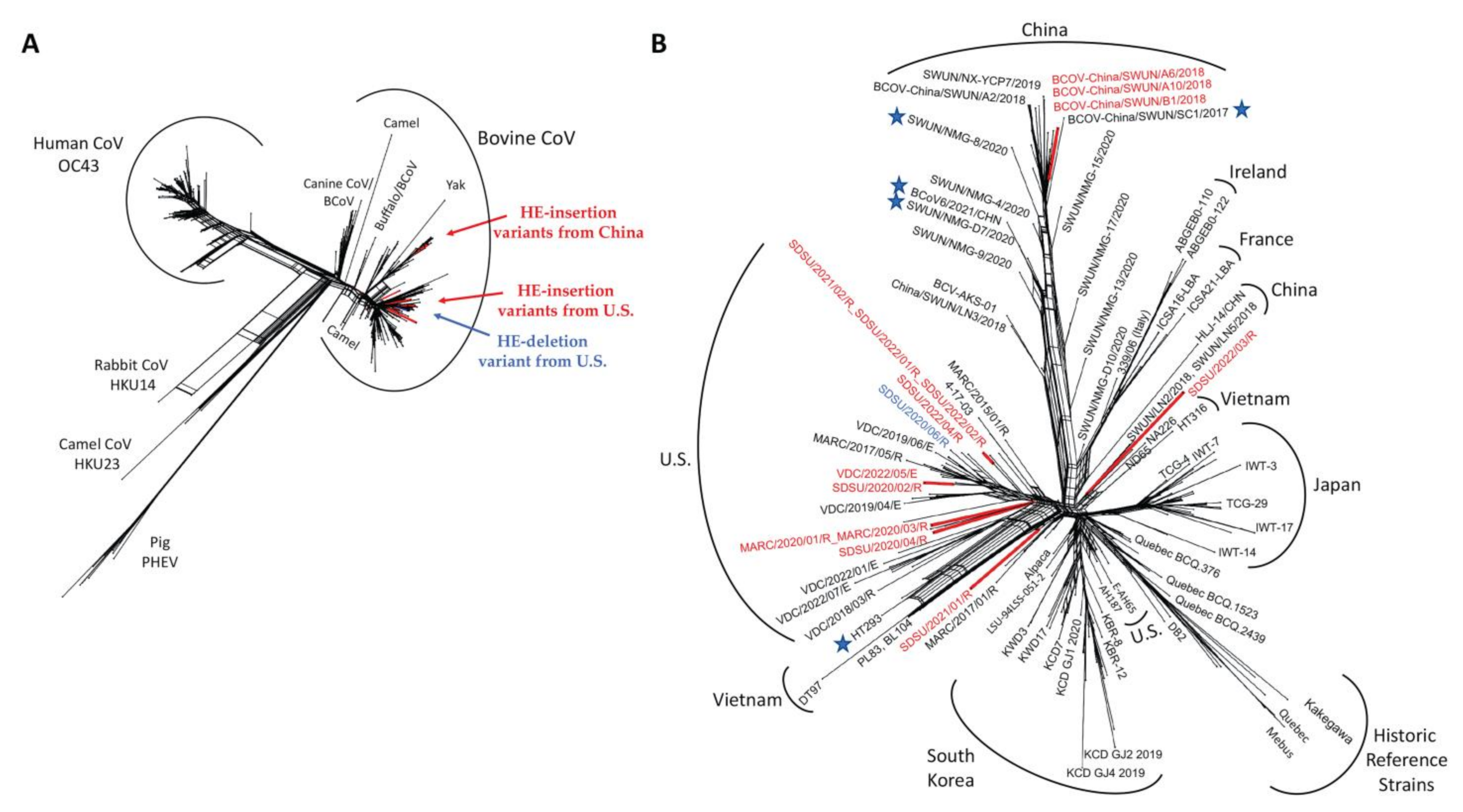 Viruses 14 02125 g004