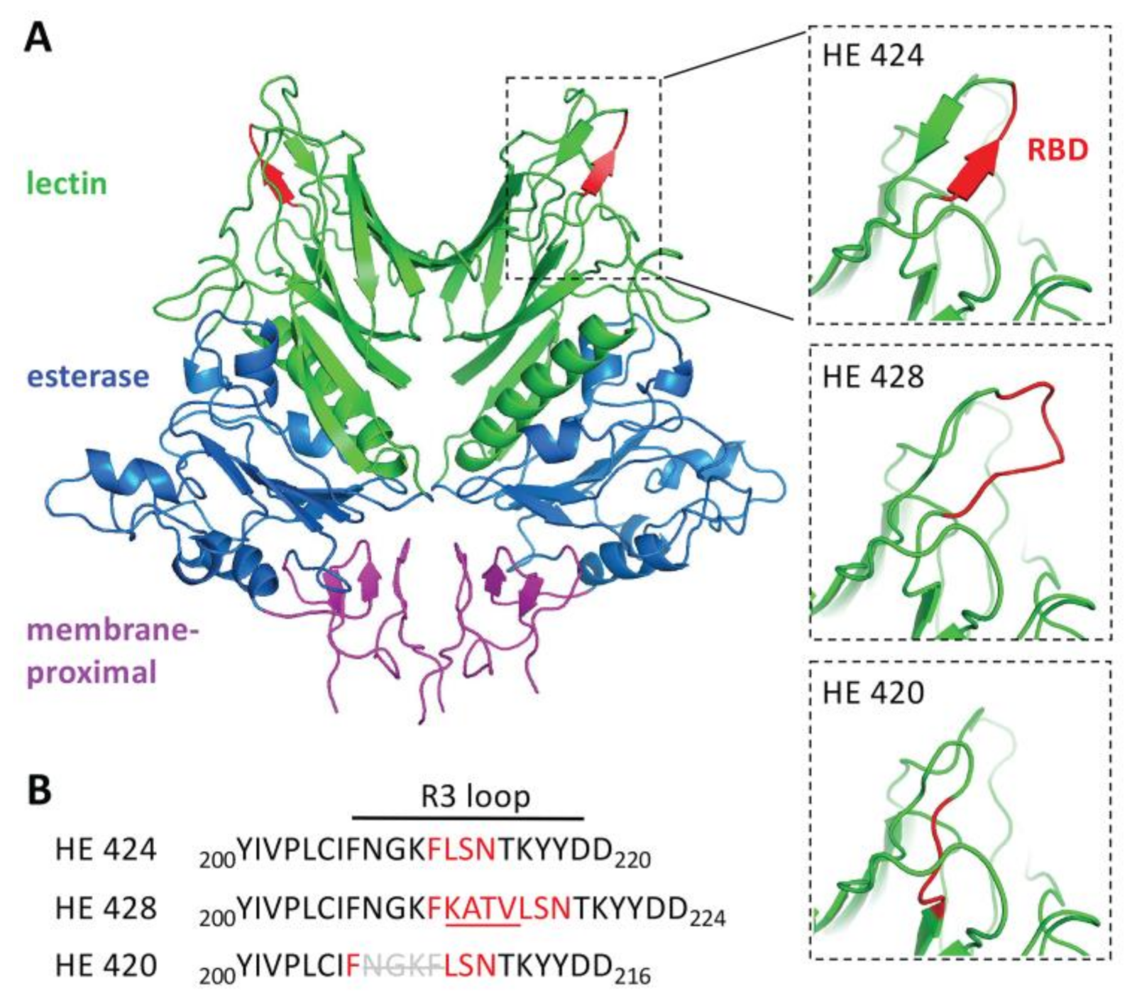 Viruses 14 02125 g006