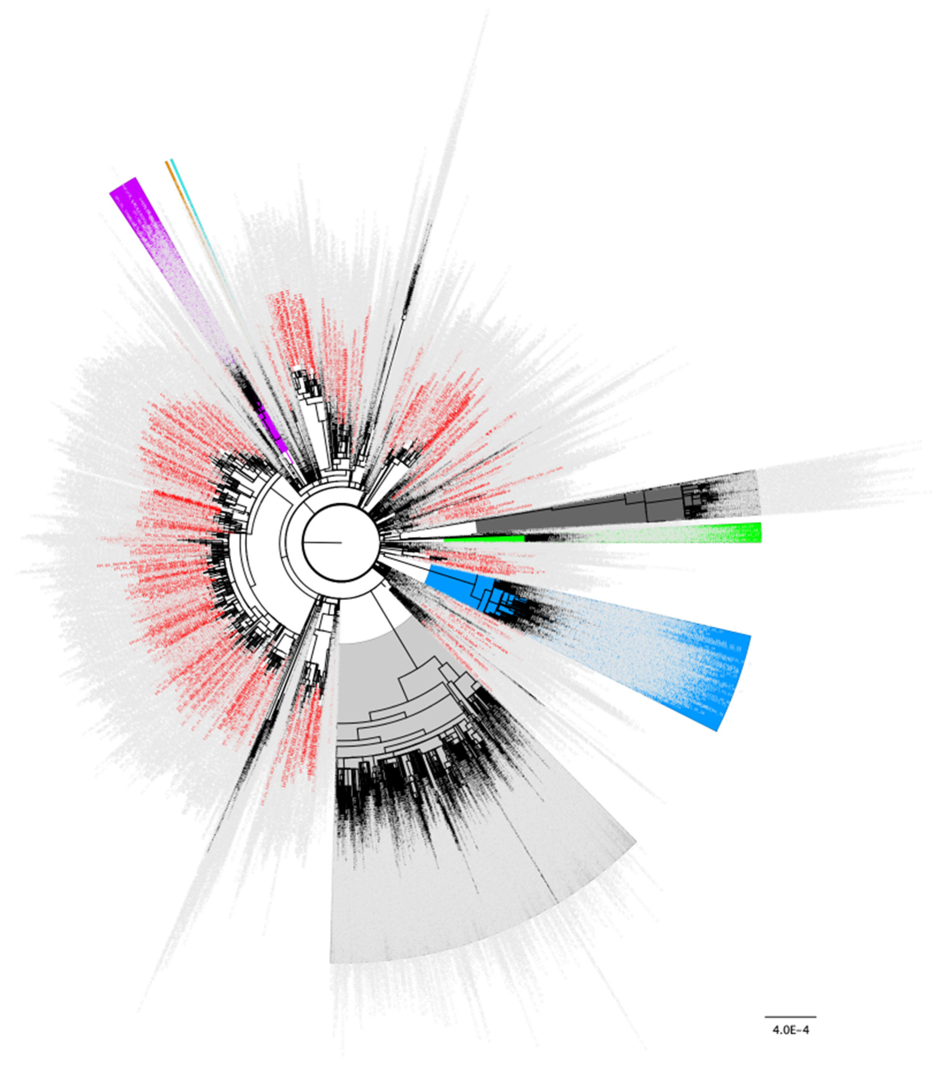 Viruses 14 02128 g001