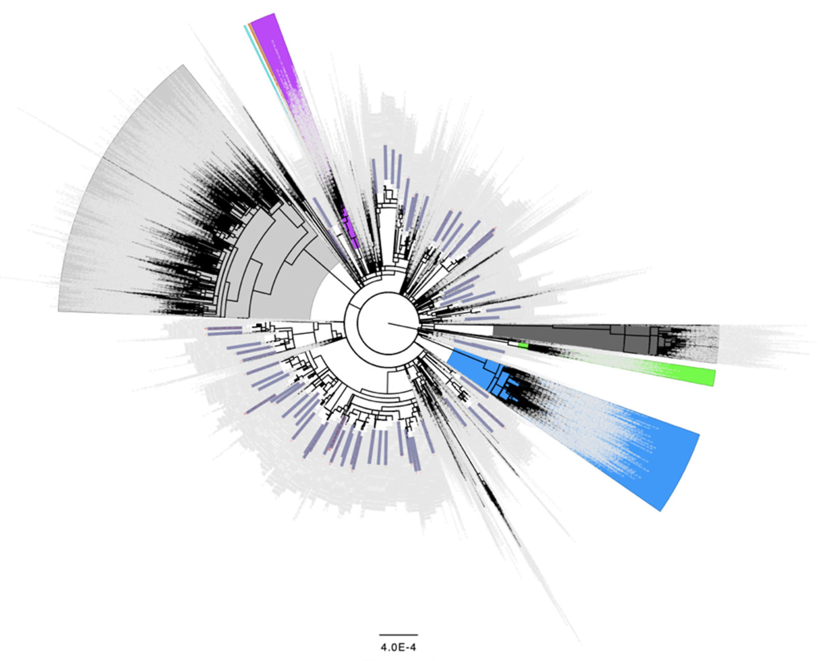 Viruses 14 02128 g002
