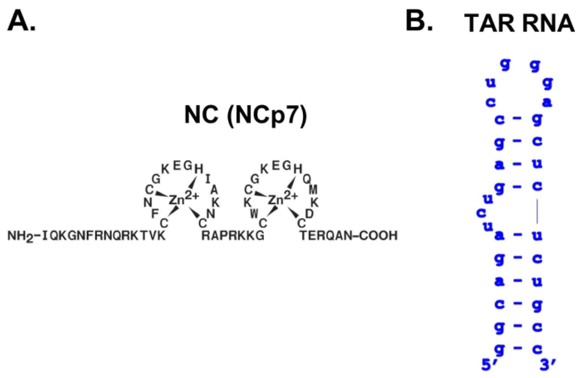 Viruses 14 02133 g001