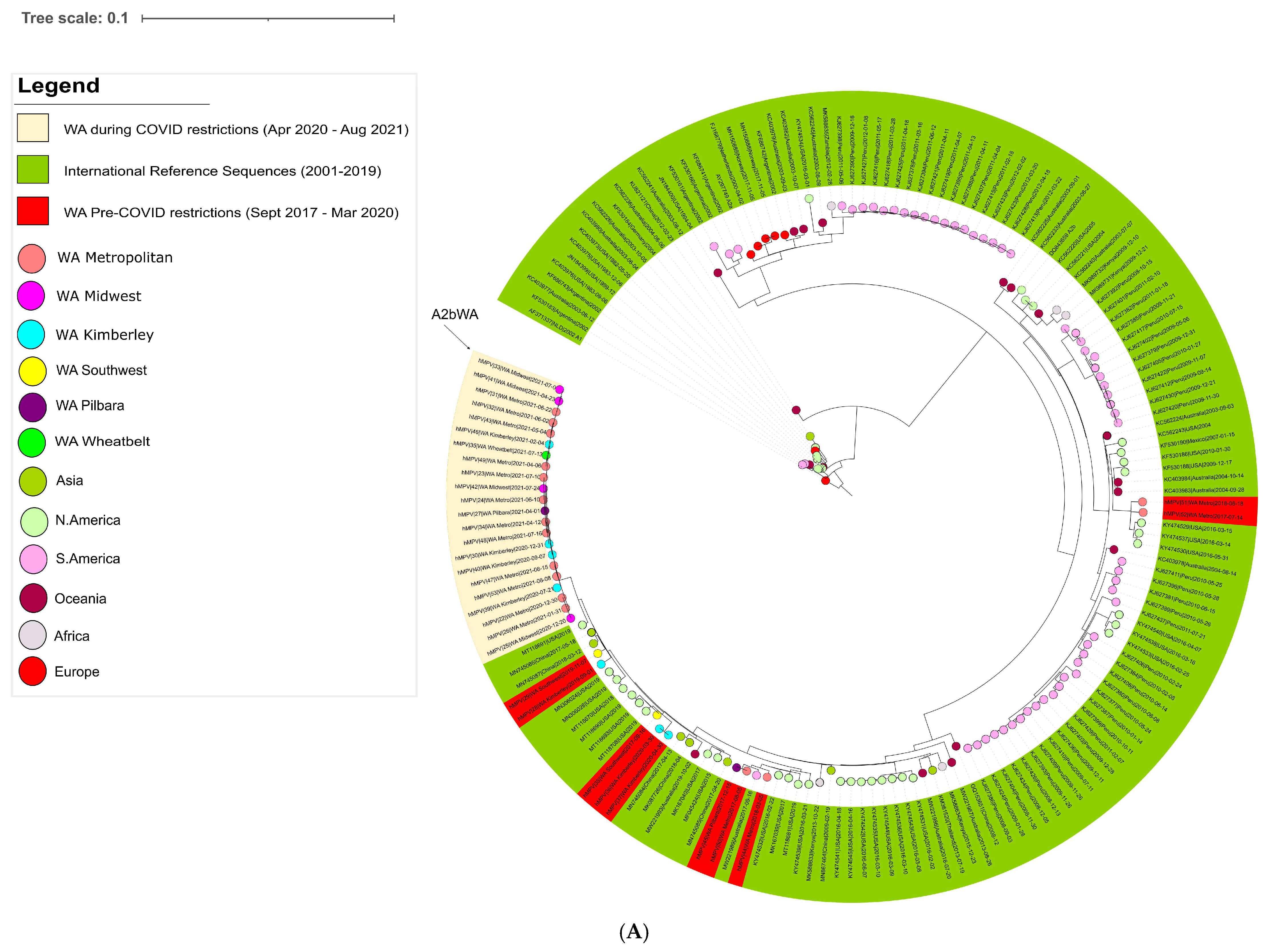 Viruses 14 02135 g003a