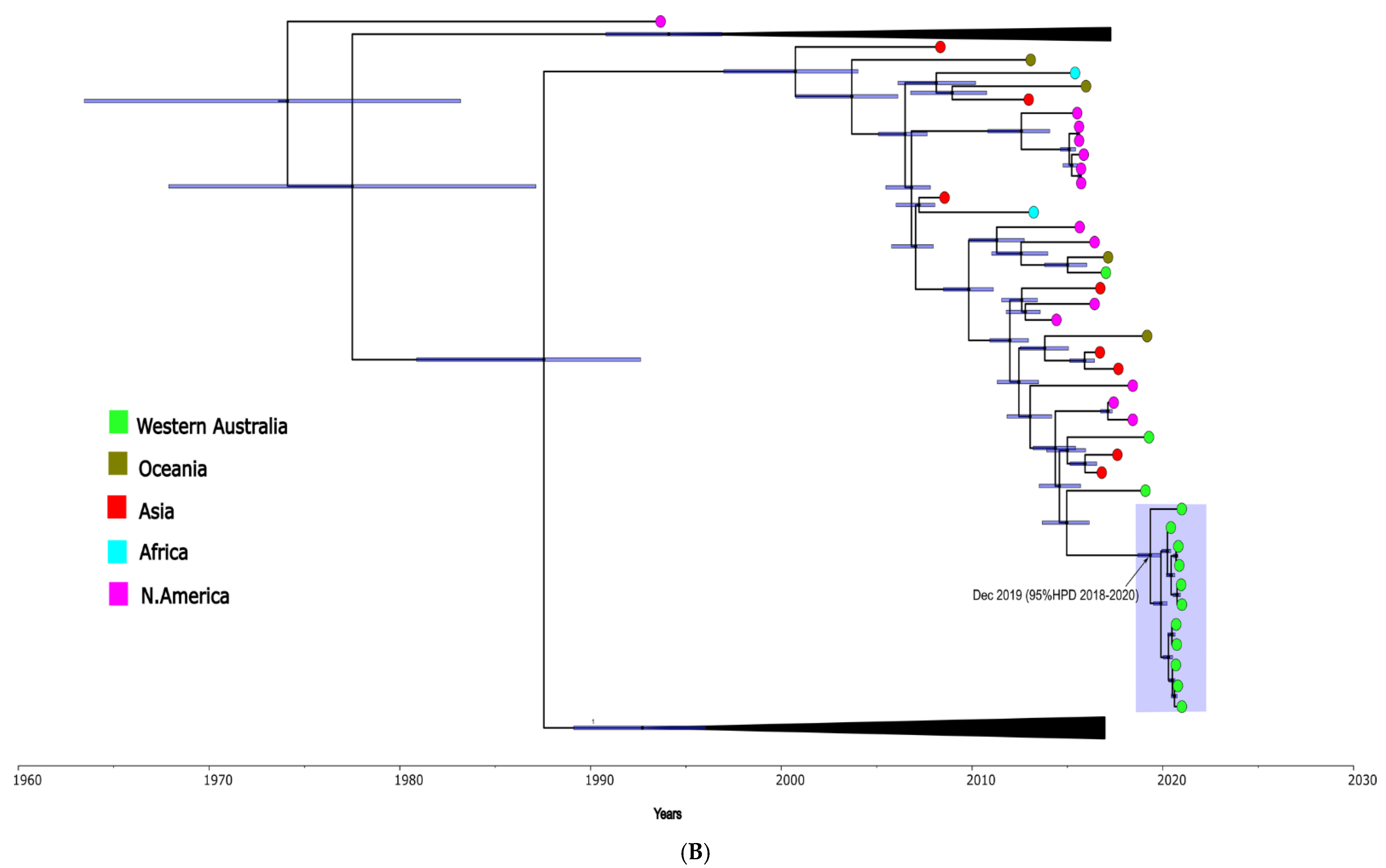 Viruses 14 02135 g003b