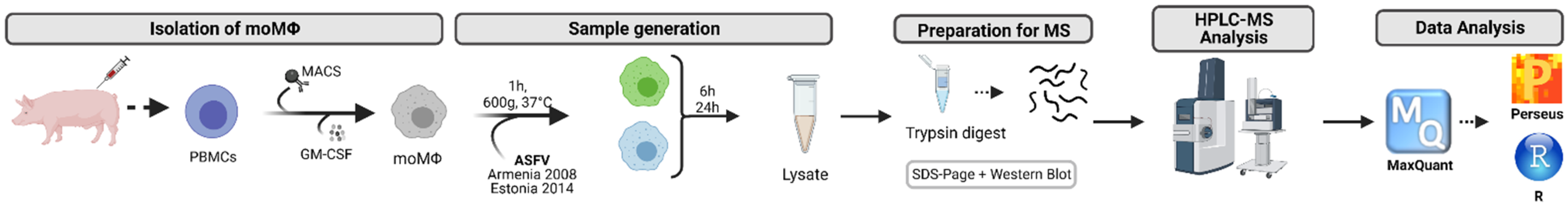 Viruses 14 02140 g001 Viruses 14 02140 g001