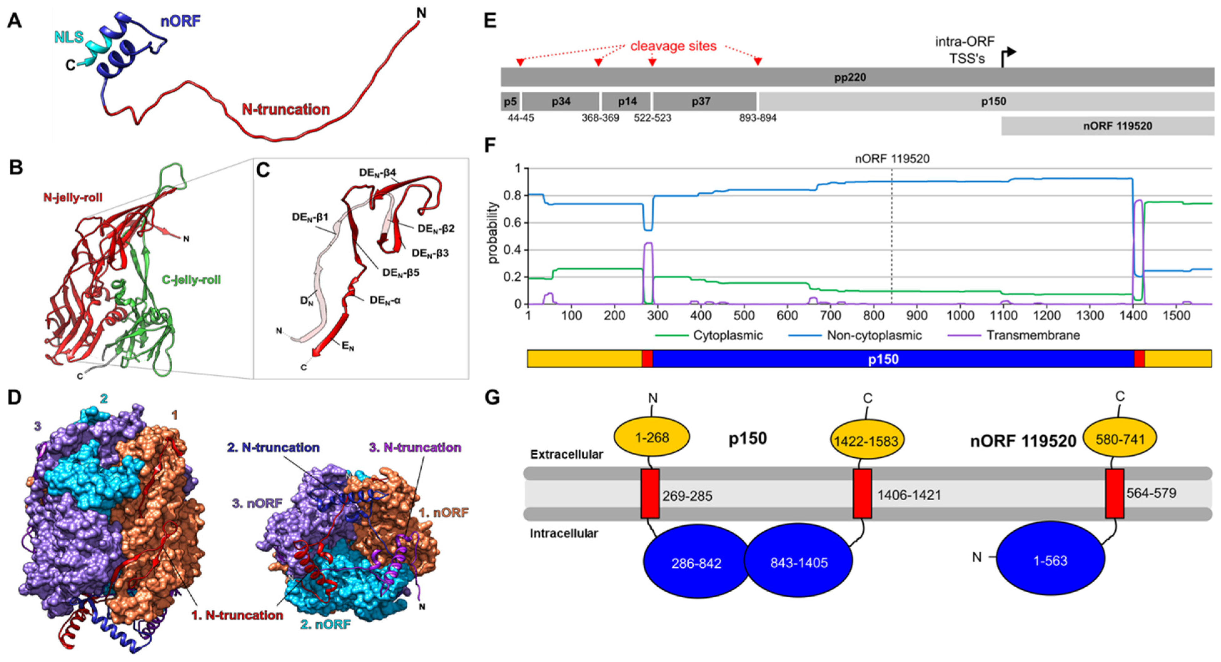 Viruses 14 02140 g003 Viruses 14 02140 g003