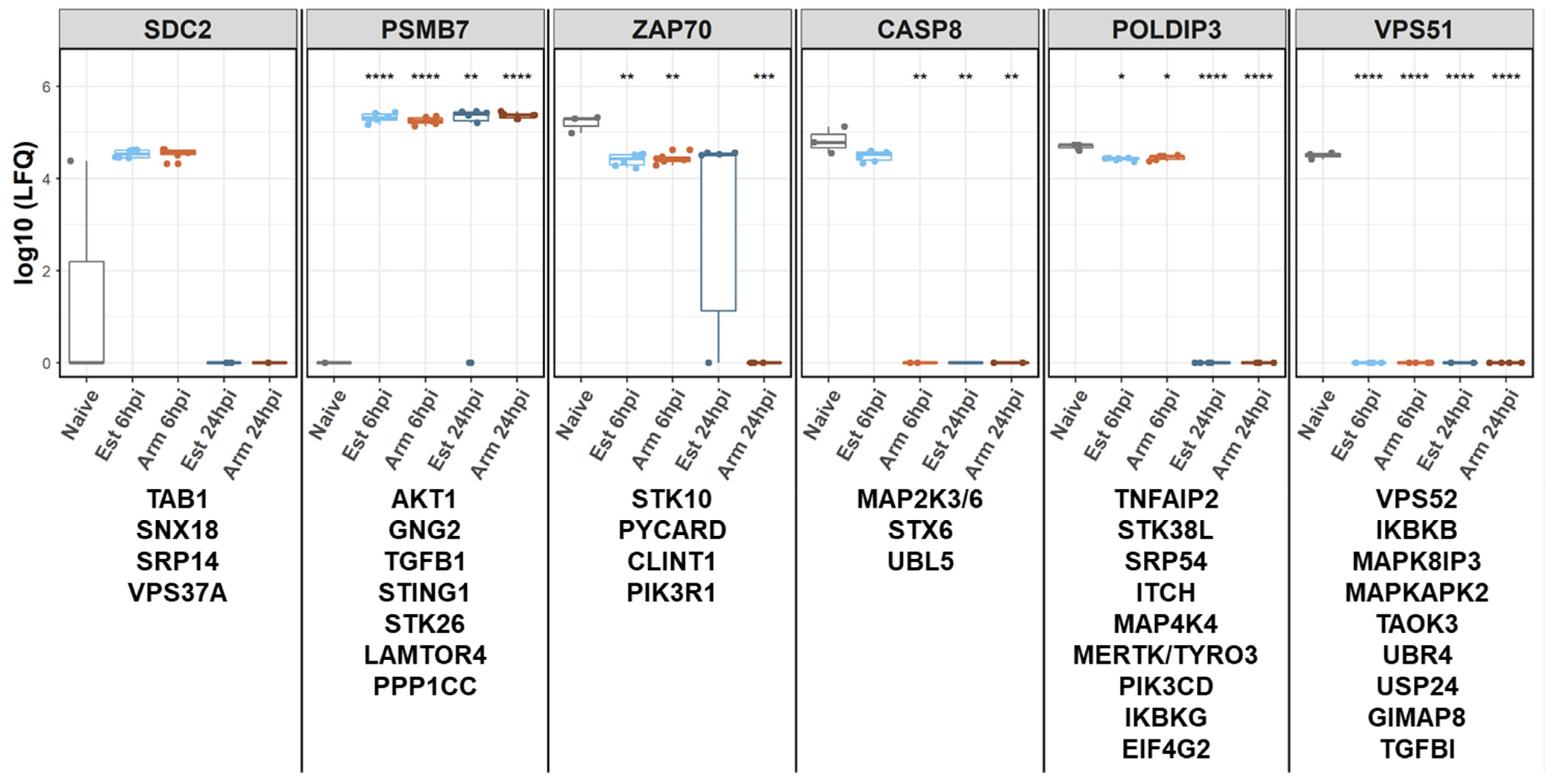 Viruses 14 02140 g004 Viruses 14 02140 g004