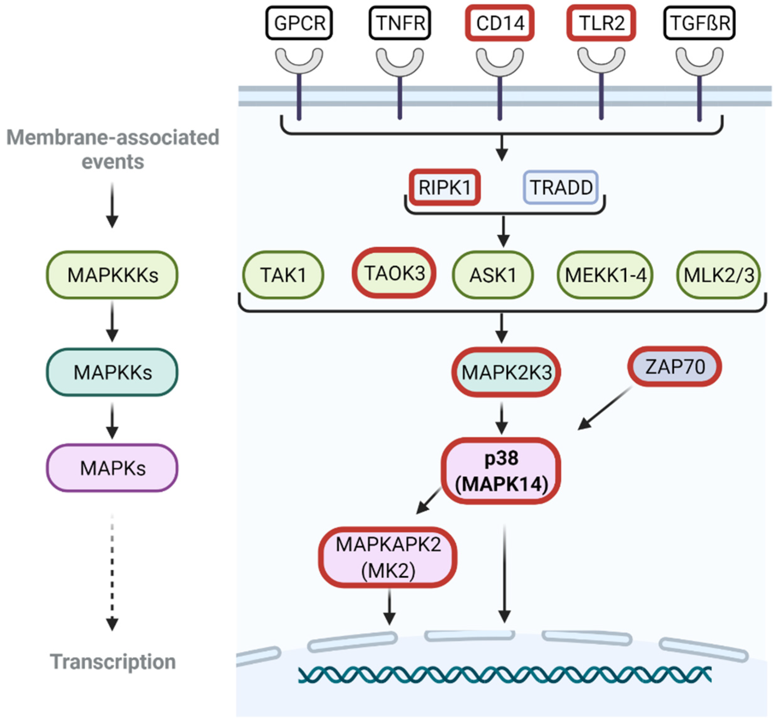 Viruses 14 02140 g006 Viruses 14 02140 g006