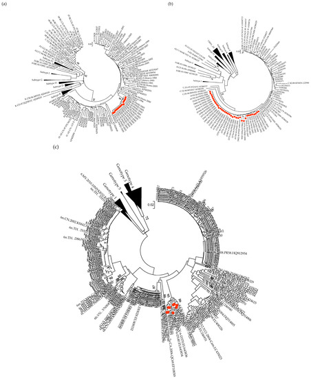 Viruses 14 02142 g0a2