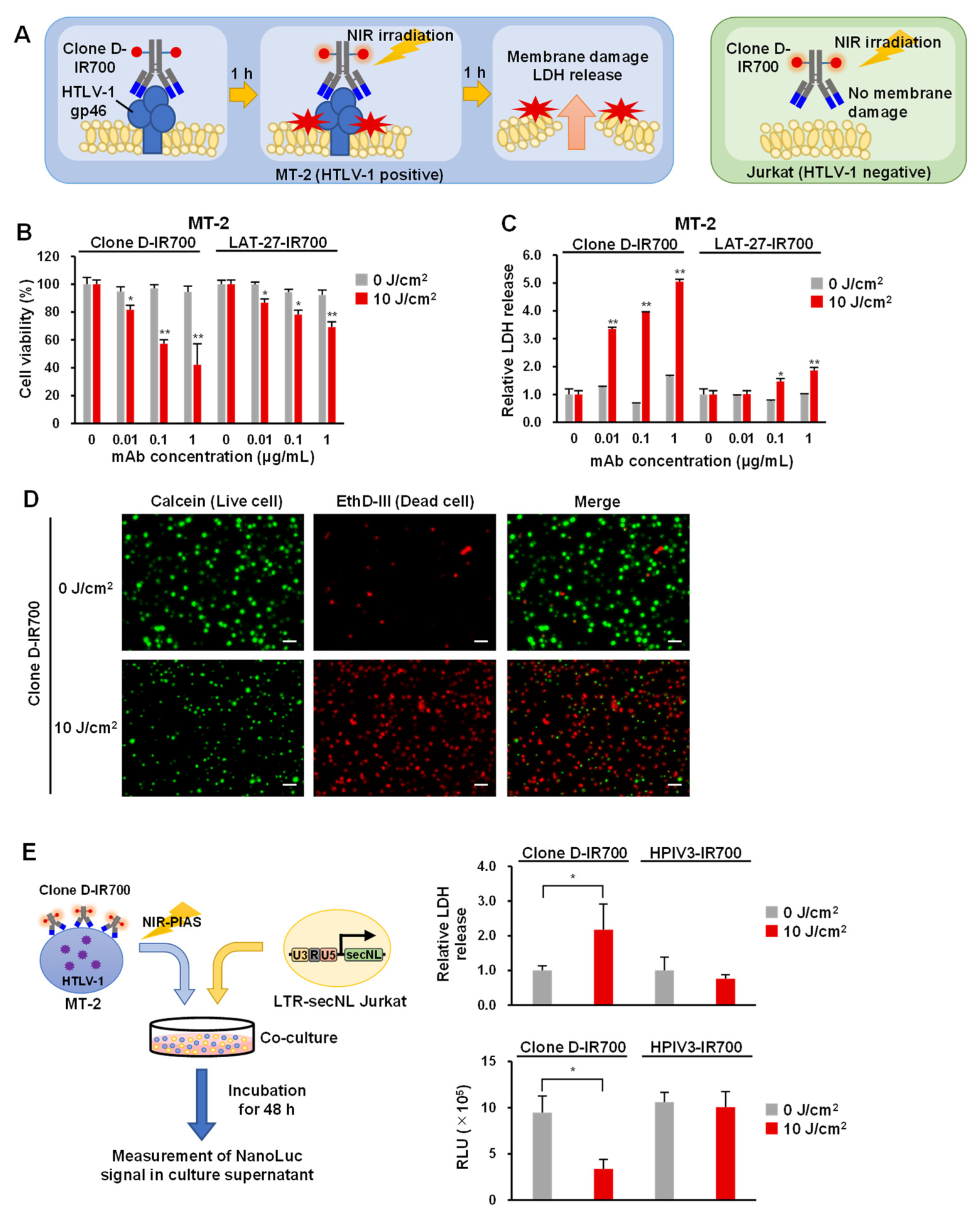 Viruses 14 02153 g004 Viruses 14 02153 g004