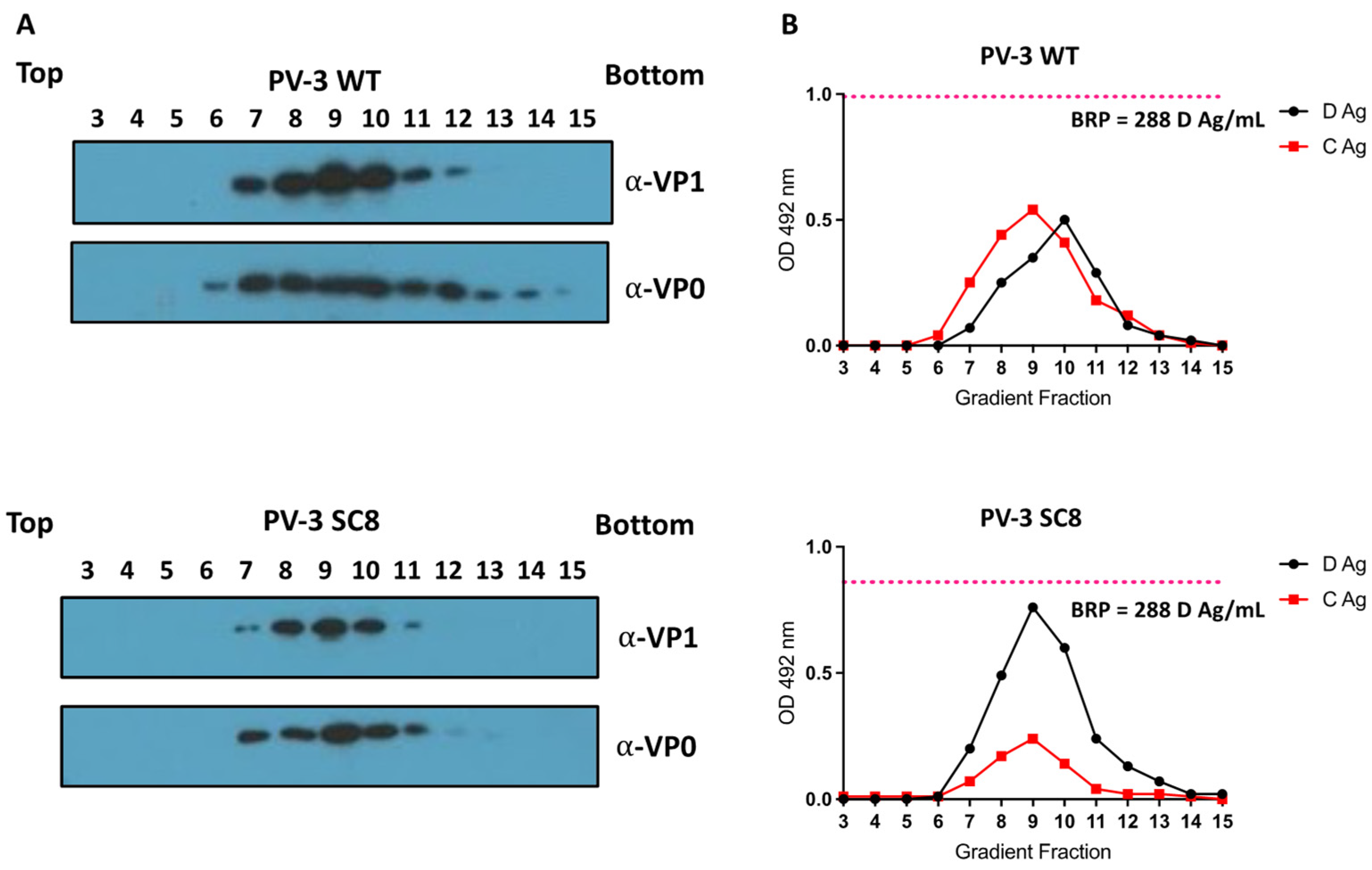 Viruses 14 02159 g002