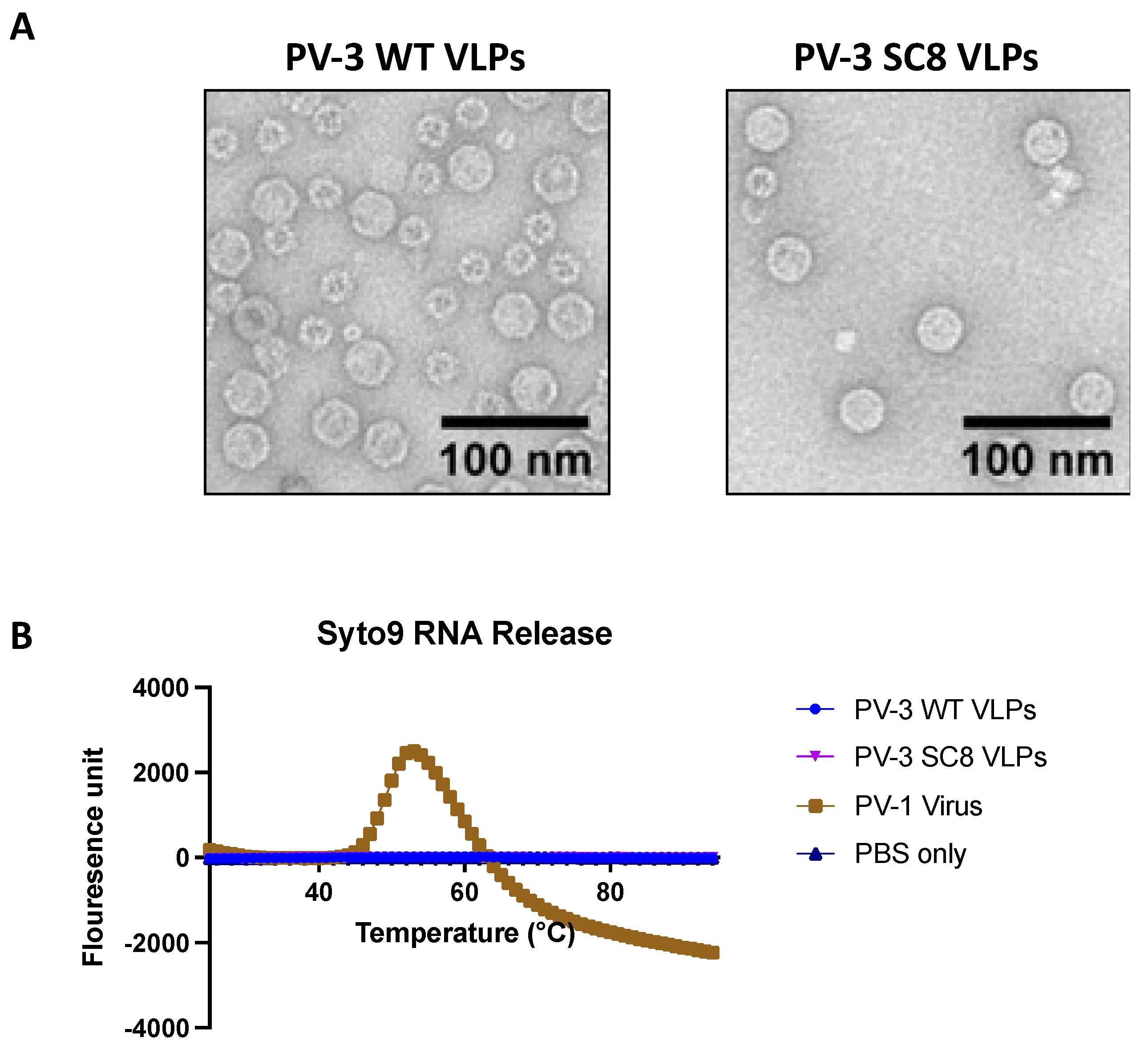 Viruses 14 02159 g004