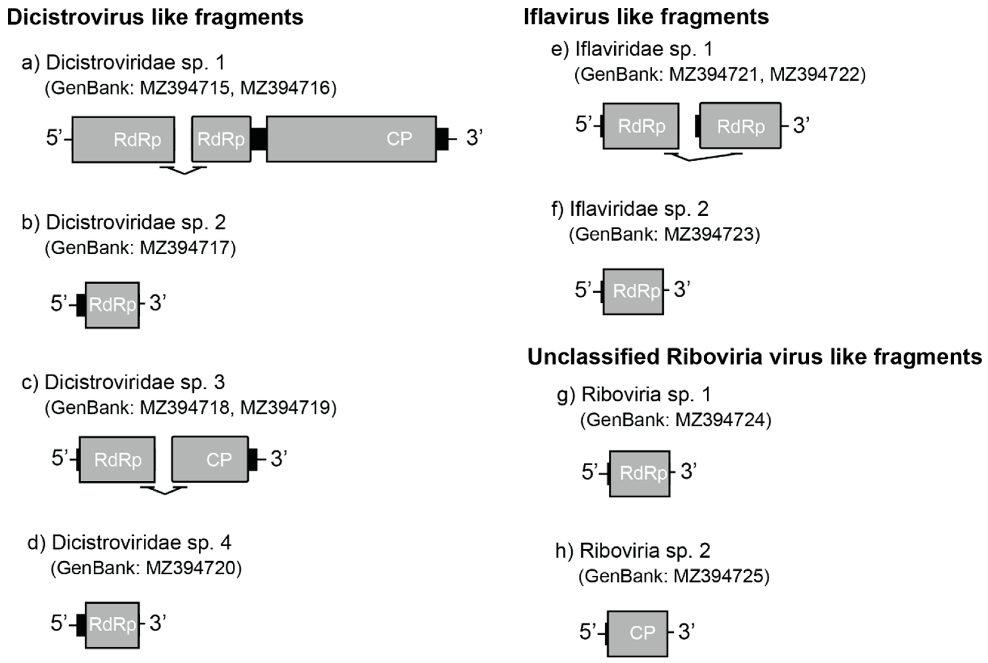 Viruses 14 02161 g002 Viruses 14 02161 g002