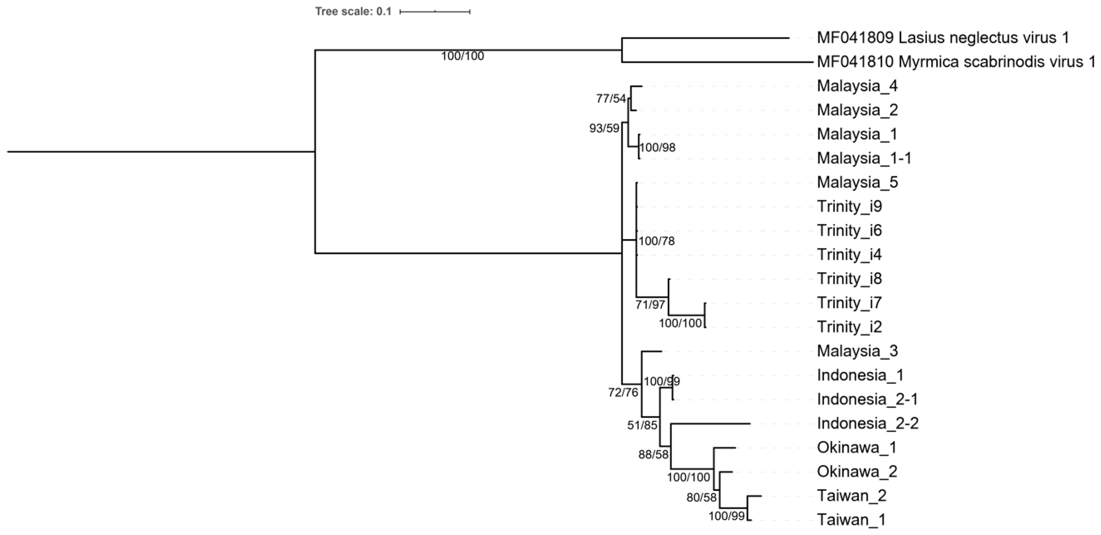 Viruses 14 02161 g004 Viruses 14 02161 g004