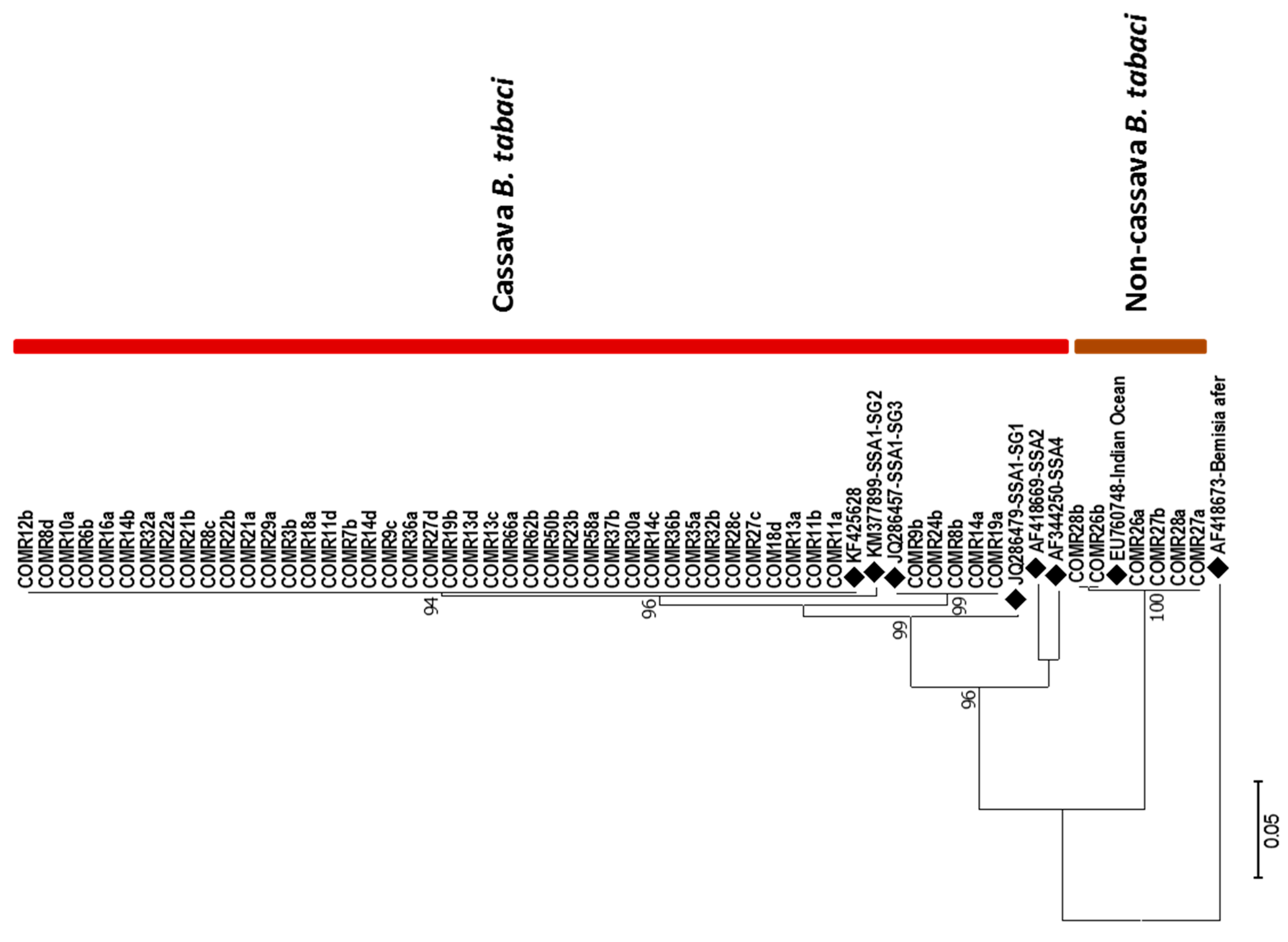 Viruses 14 02165 g003