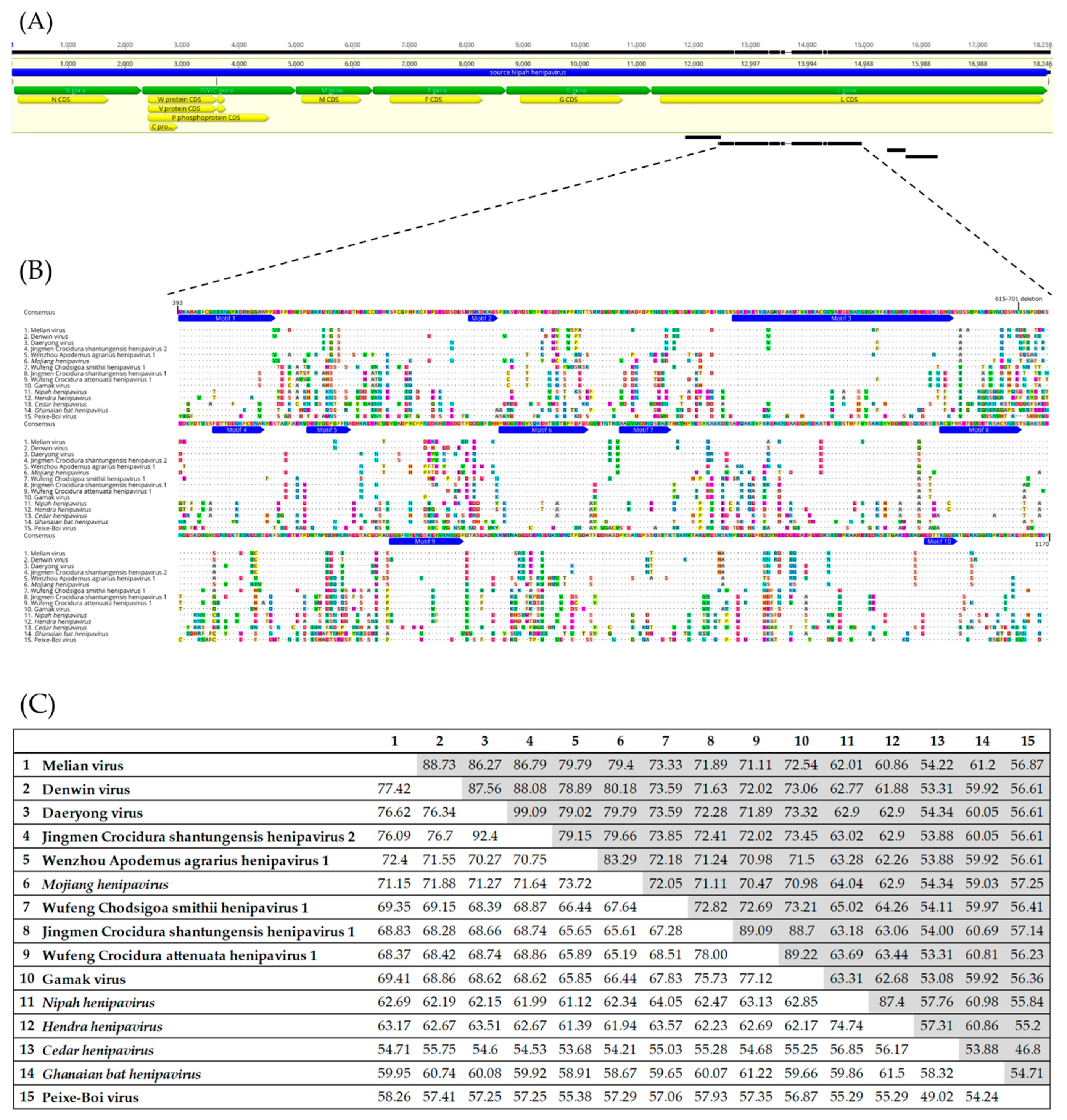 Viruses 14 02167 g002