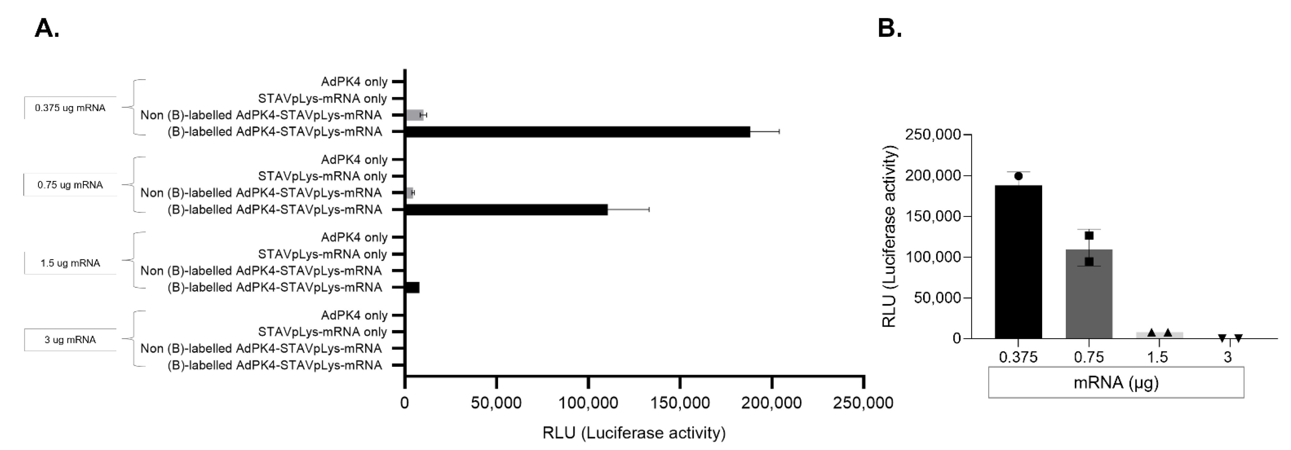Viruses 14 02169 g002