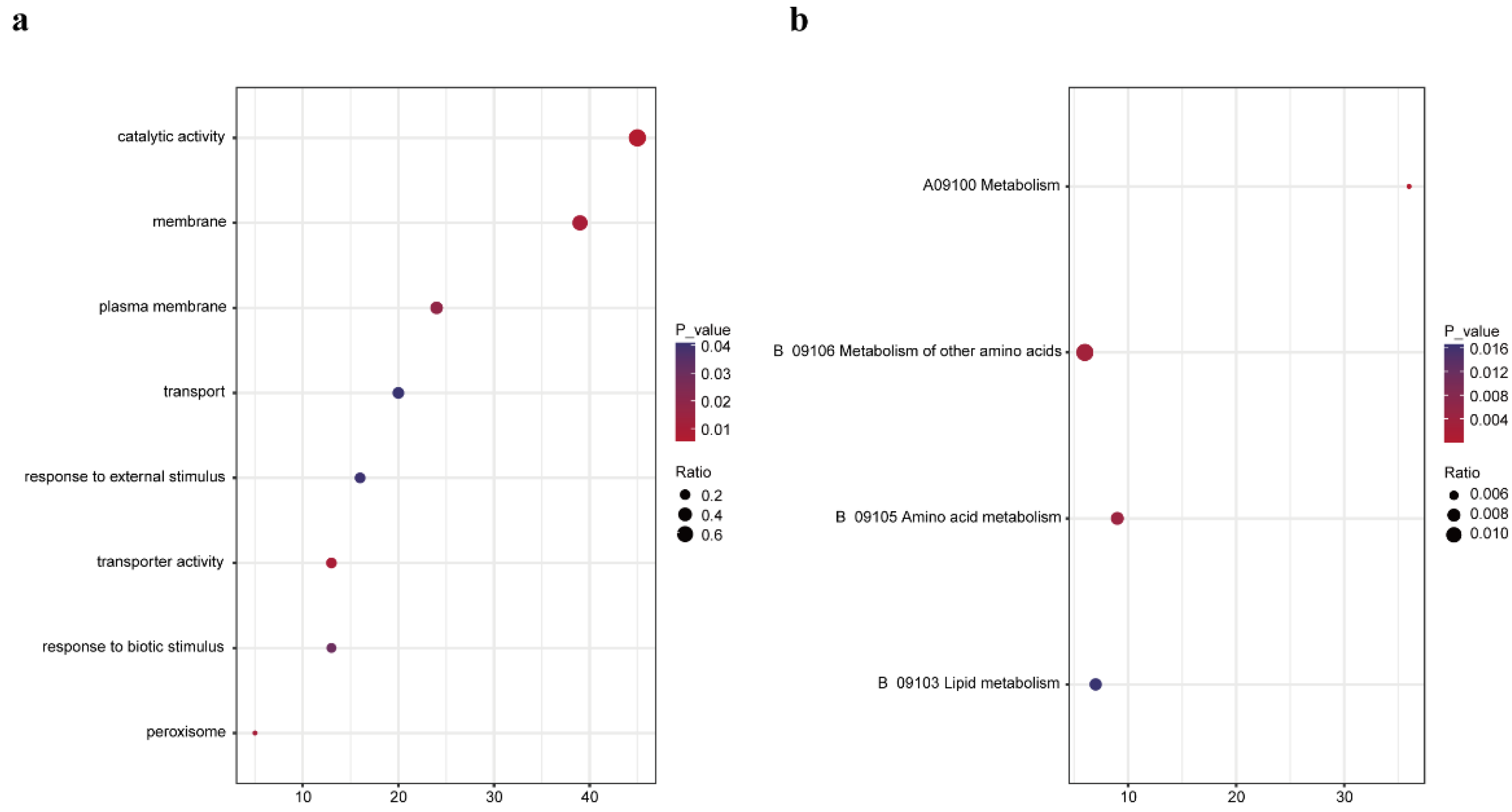 Viruses 14 02171 g002