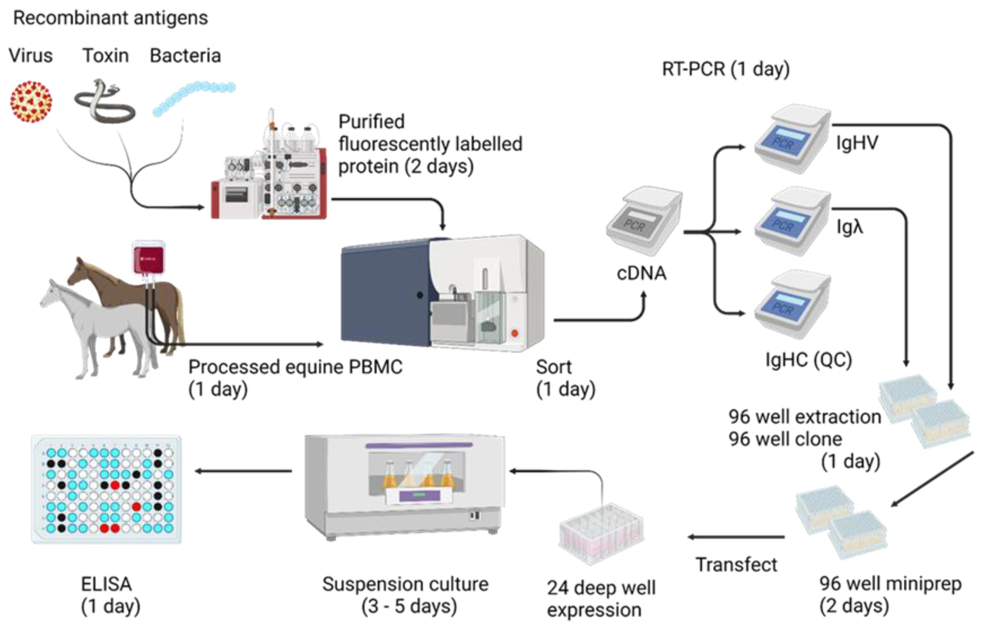 Viruses 14 02172 g005