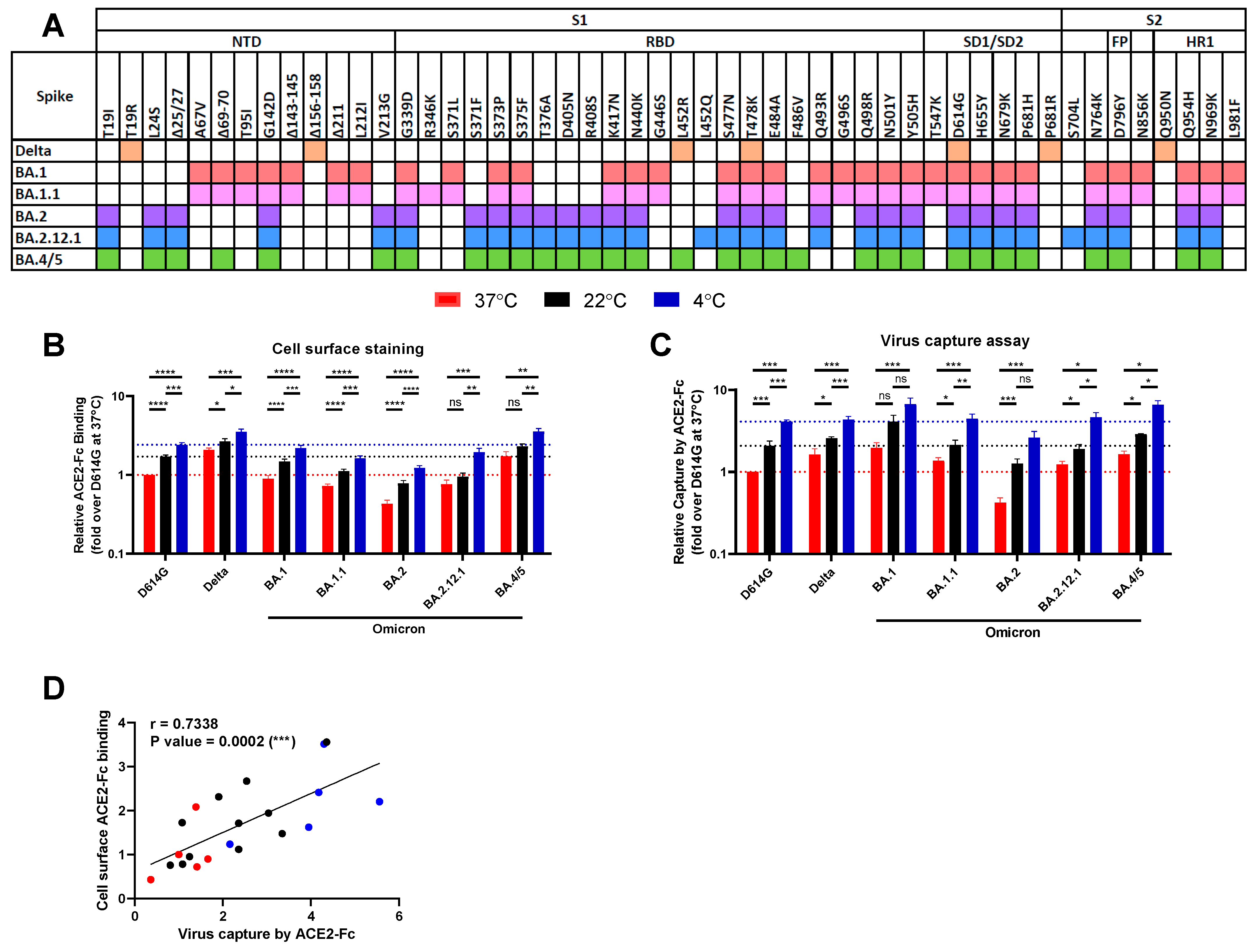 Viruses 14 02178 g001