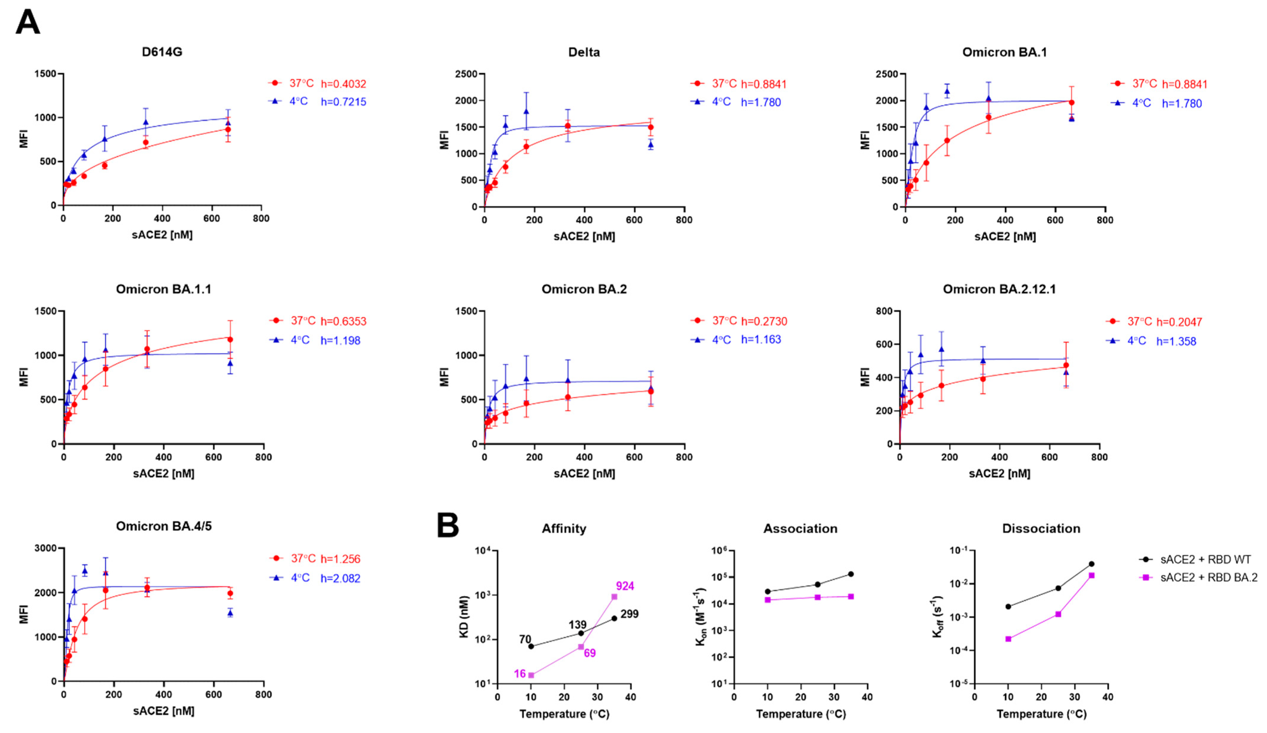 Viruses 14 02178 g002
