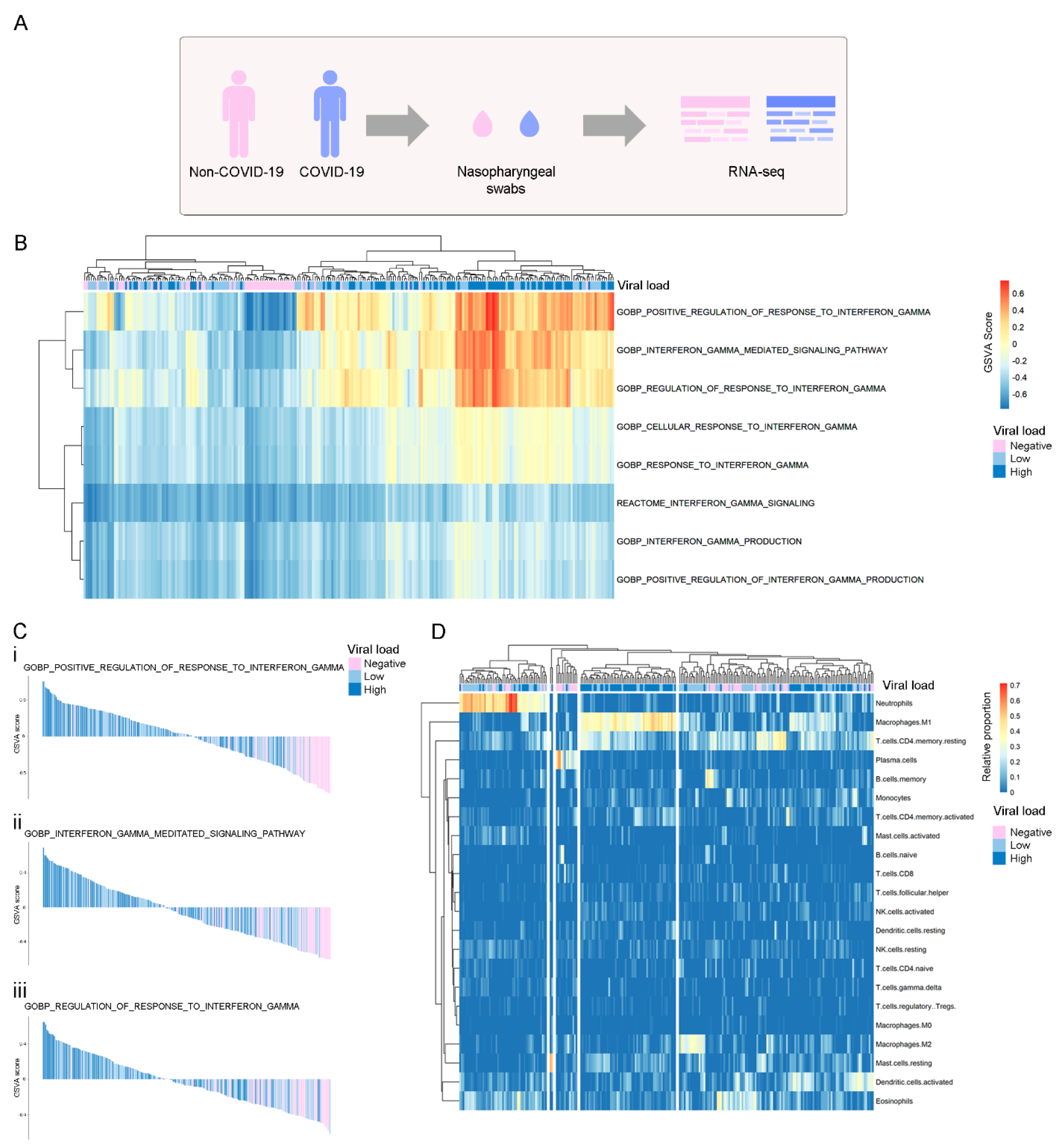 Viruses 14 02180 g001