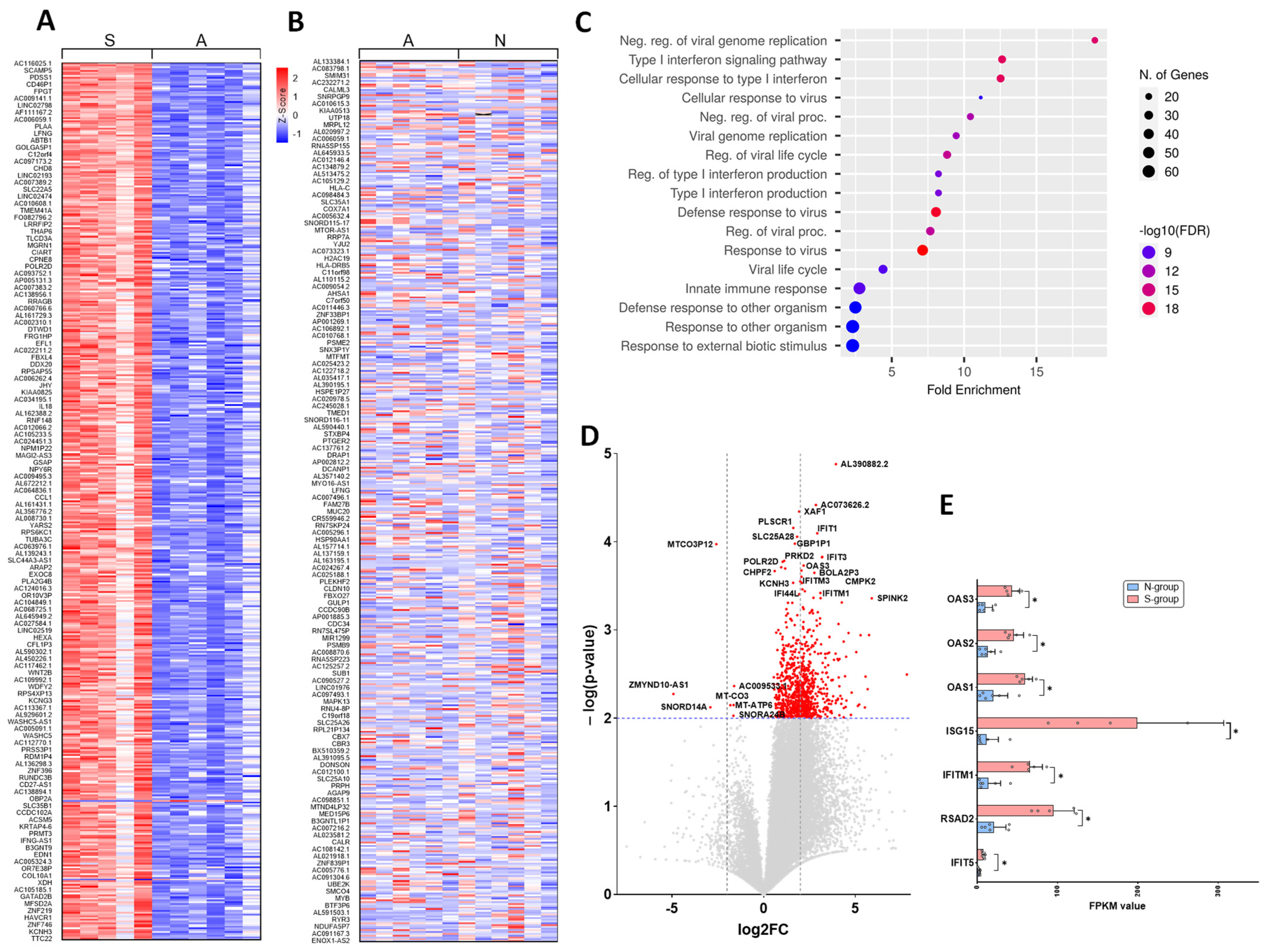 Viruses 14 02182 g001