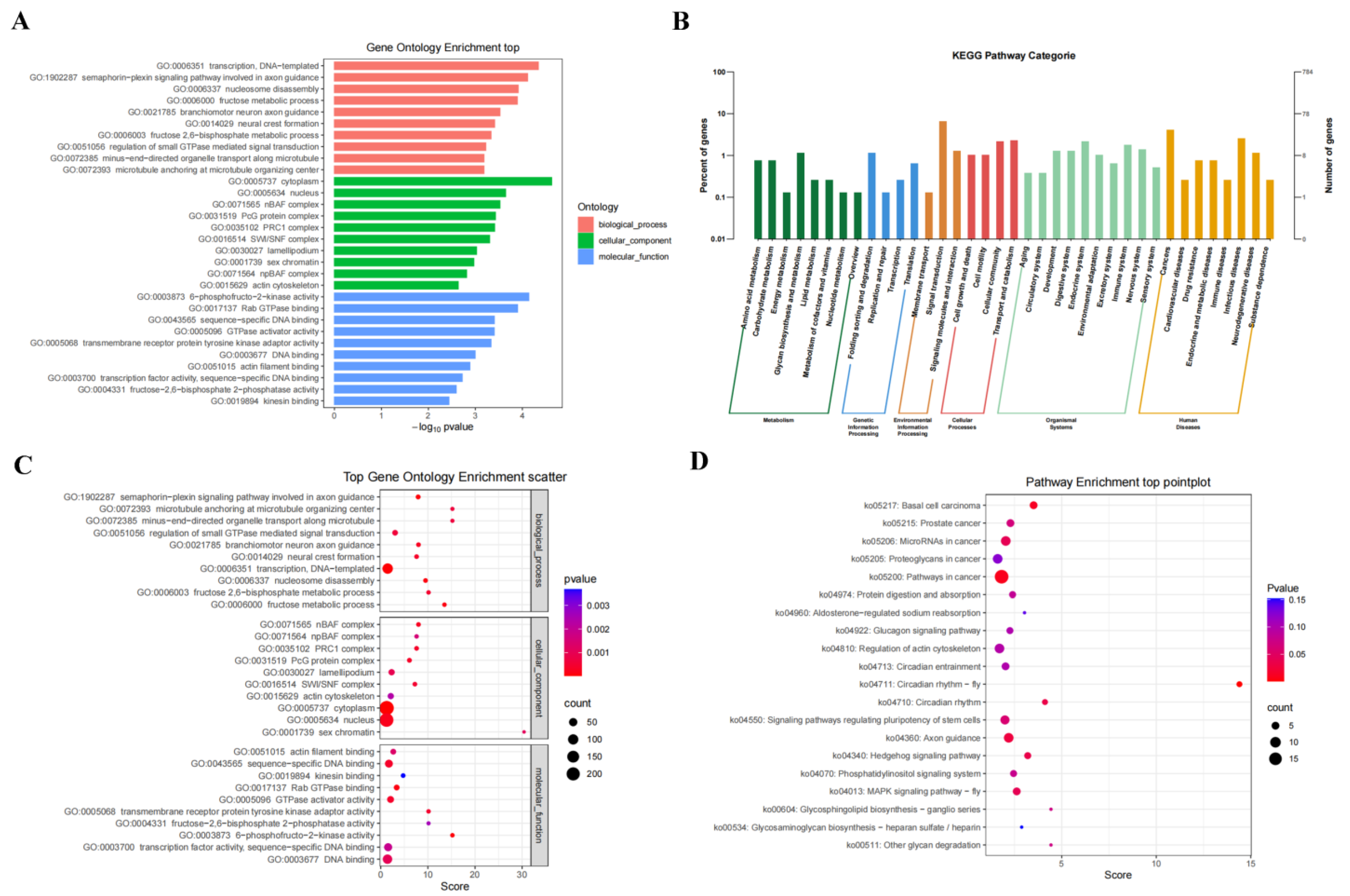 Viruses 14 02184 g002