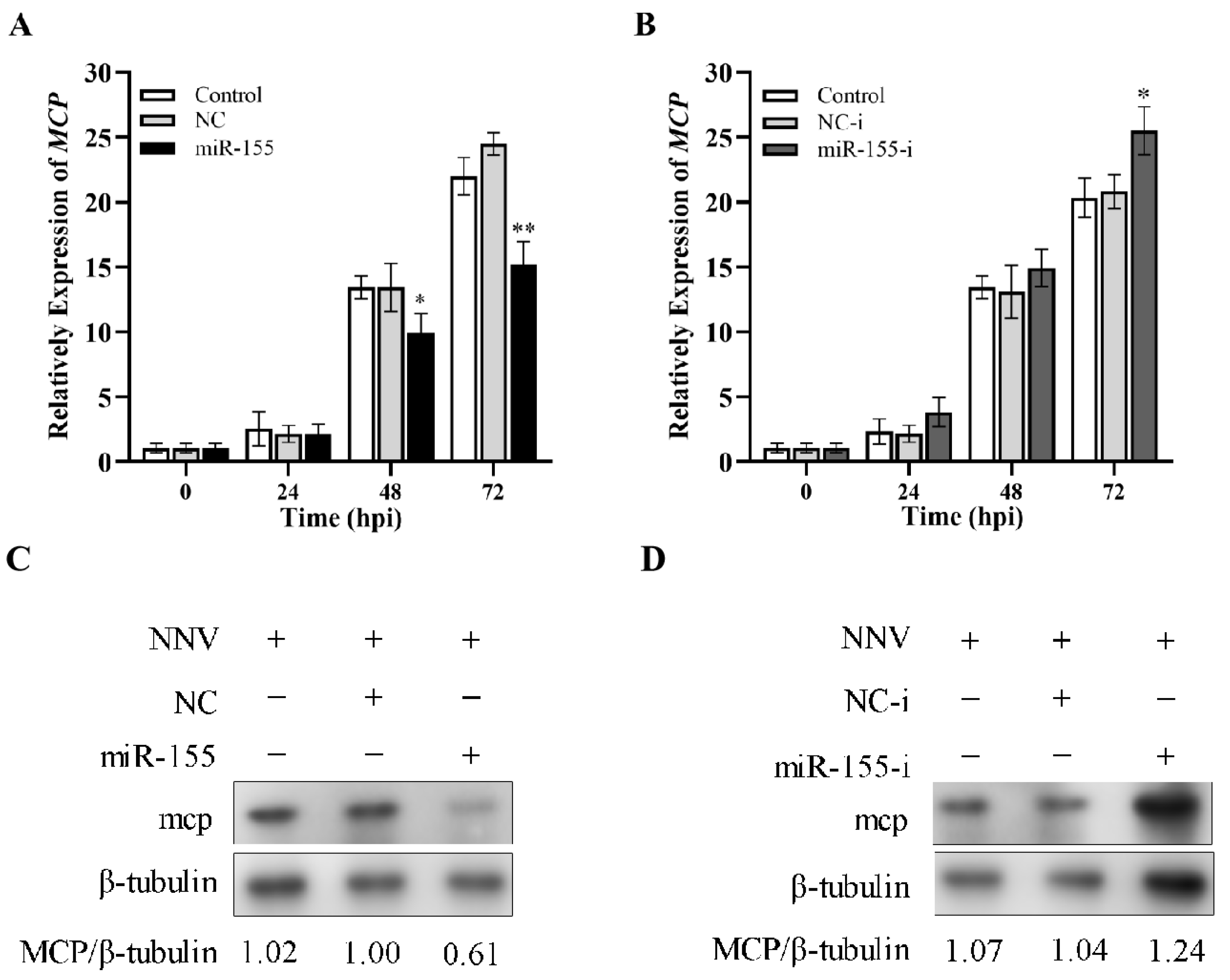 Viruses 14 02184 g008