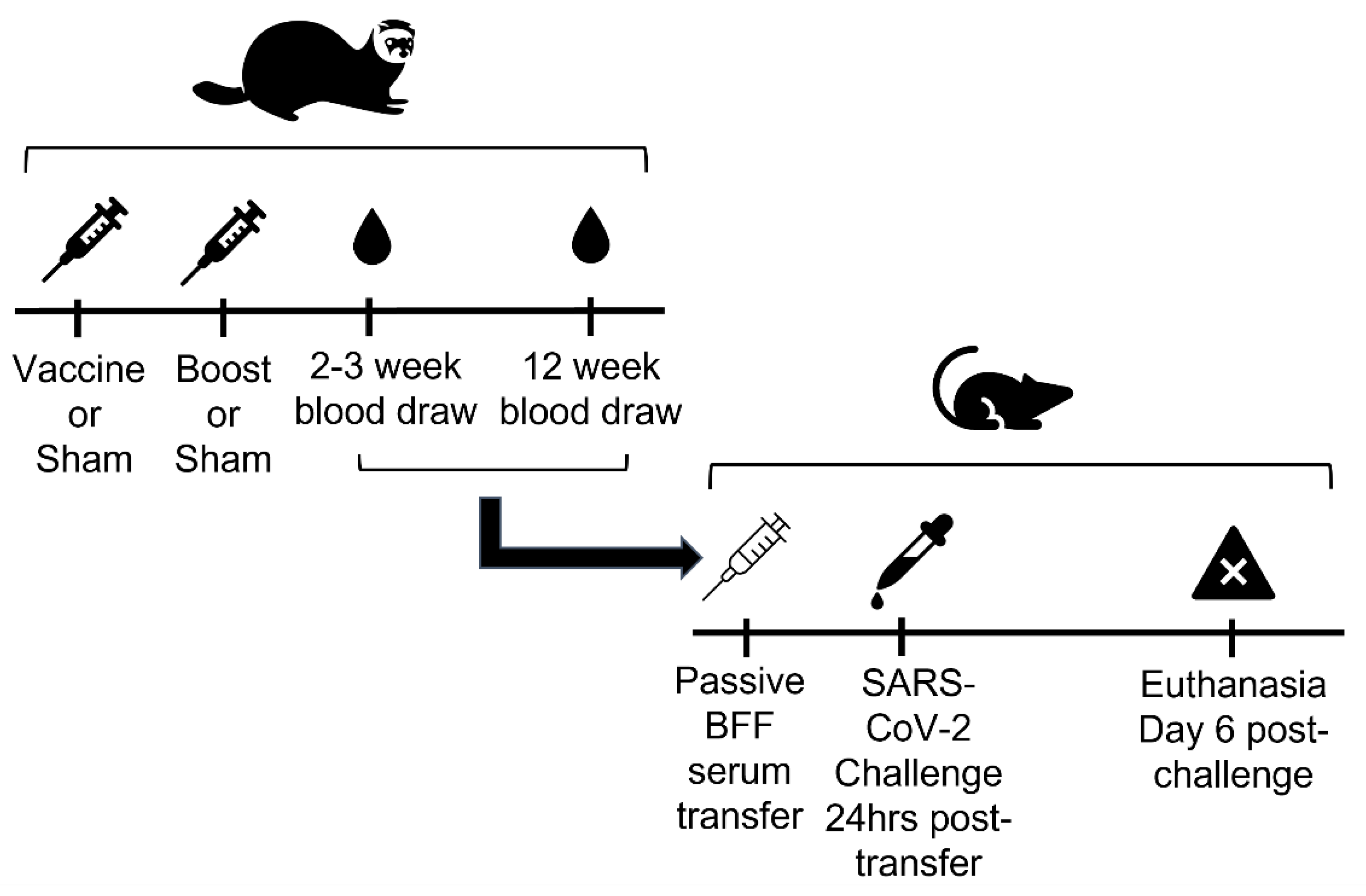 Viruses 14 02188 g001 Viruses 14 02188 g001