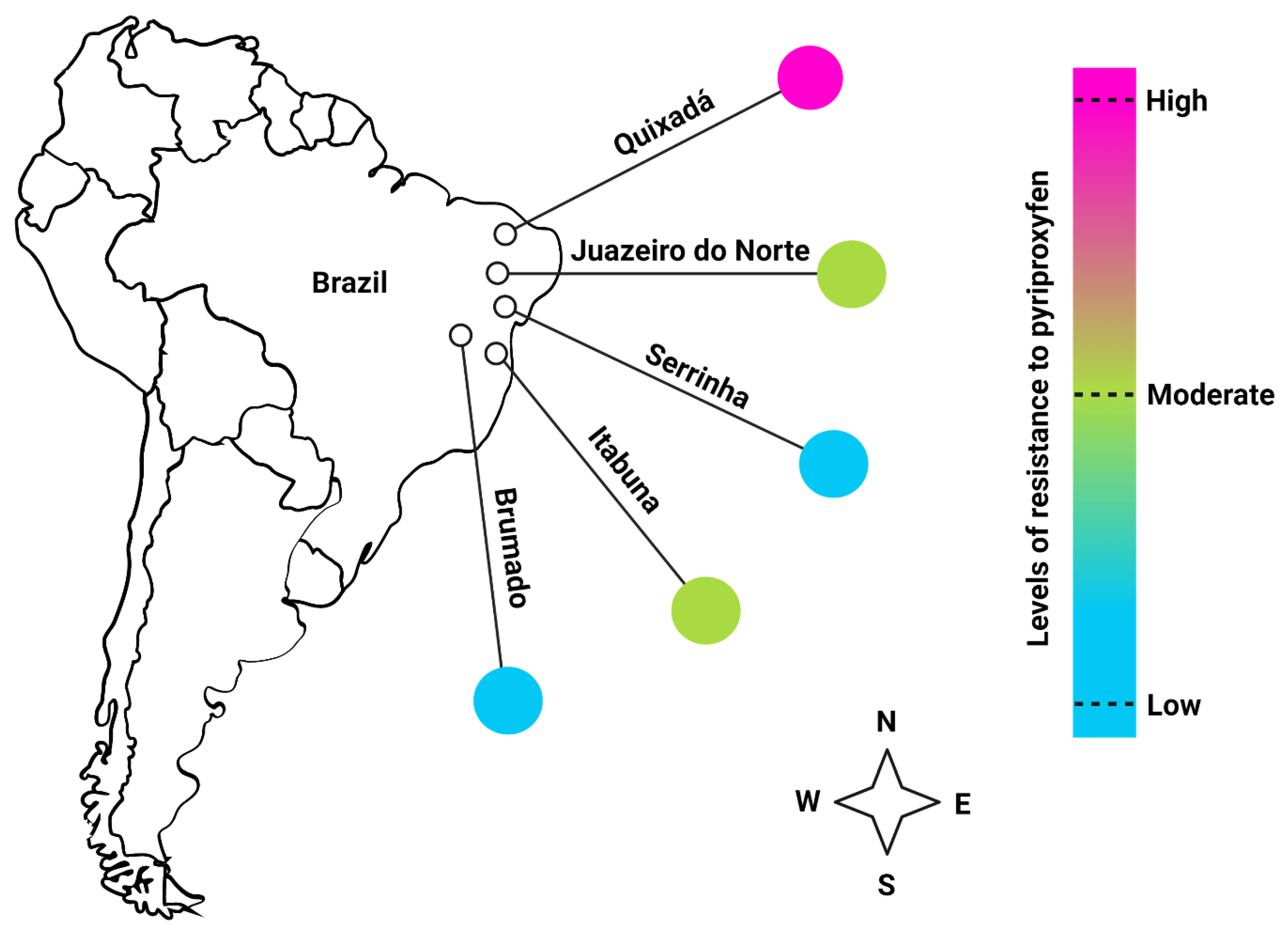 Viruses 14 02198 g001