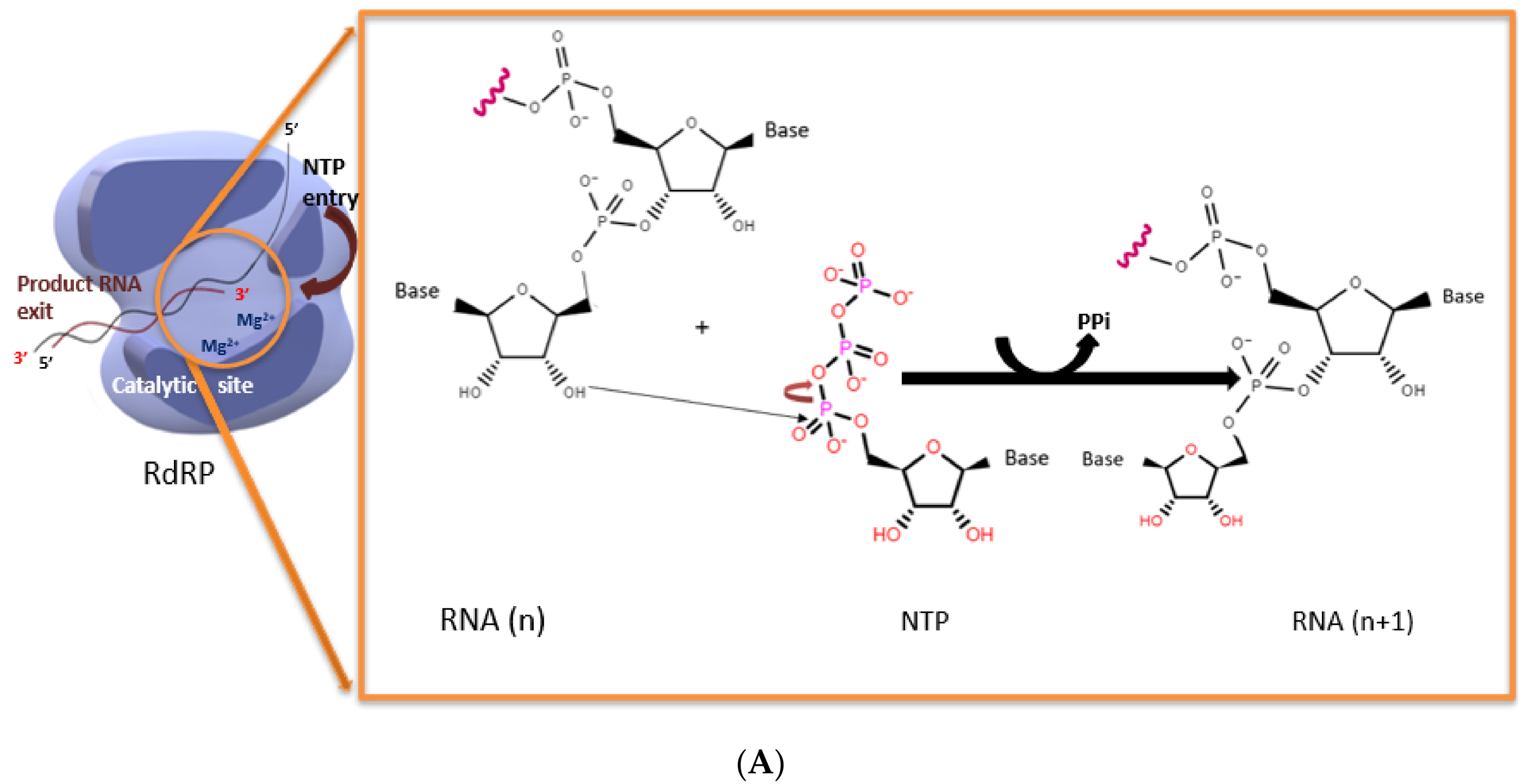 Viruses 14 02200 g001a