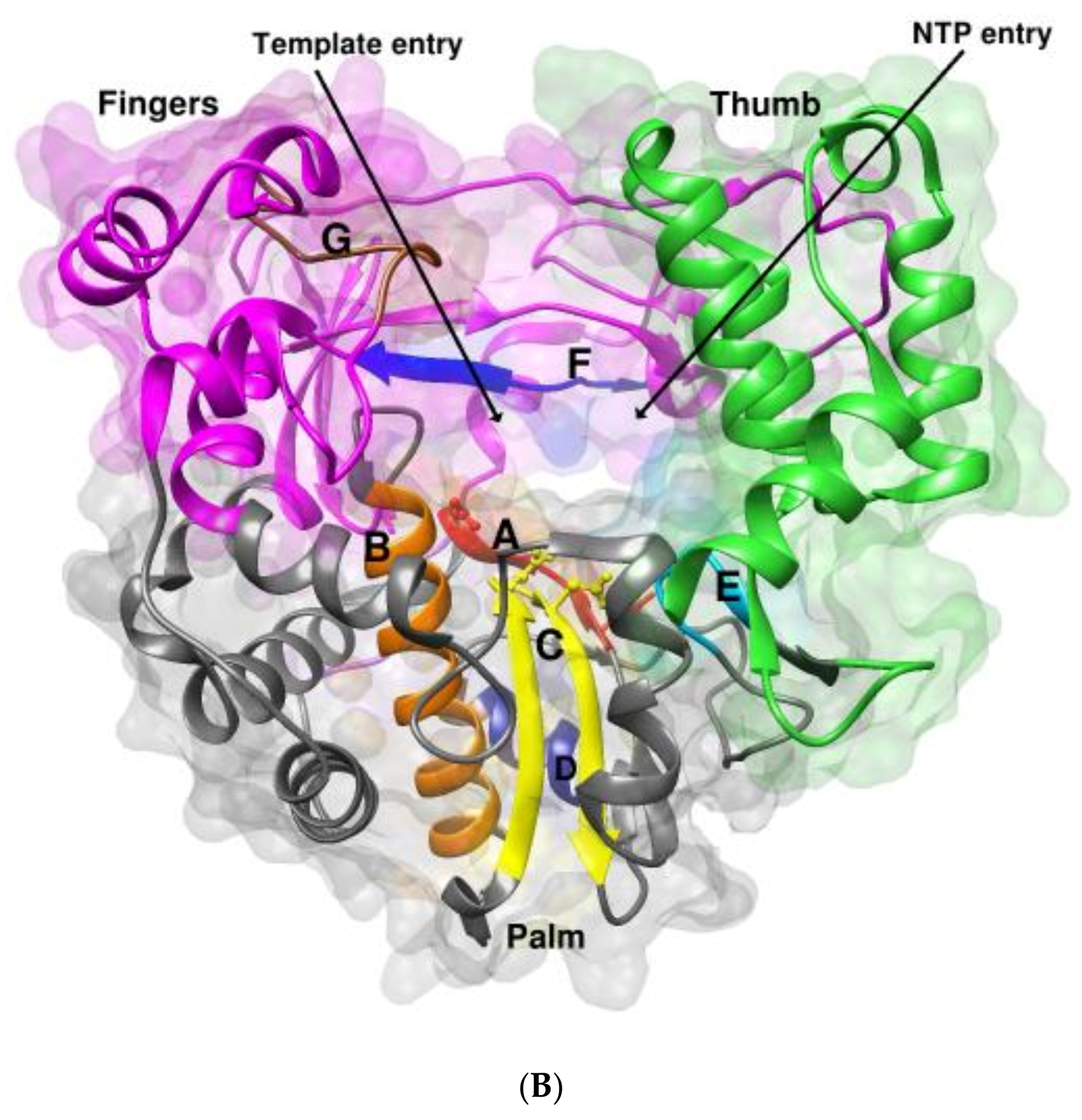 Viruses 14 02200 g001b