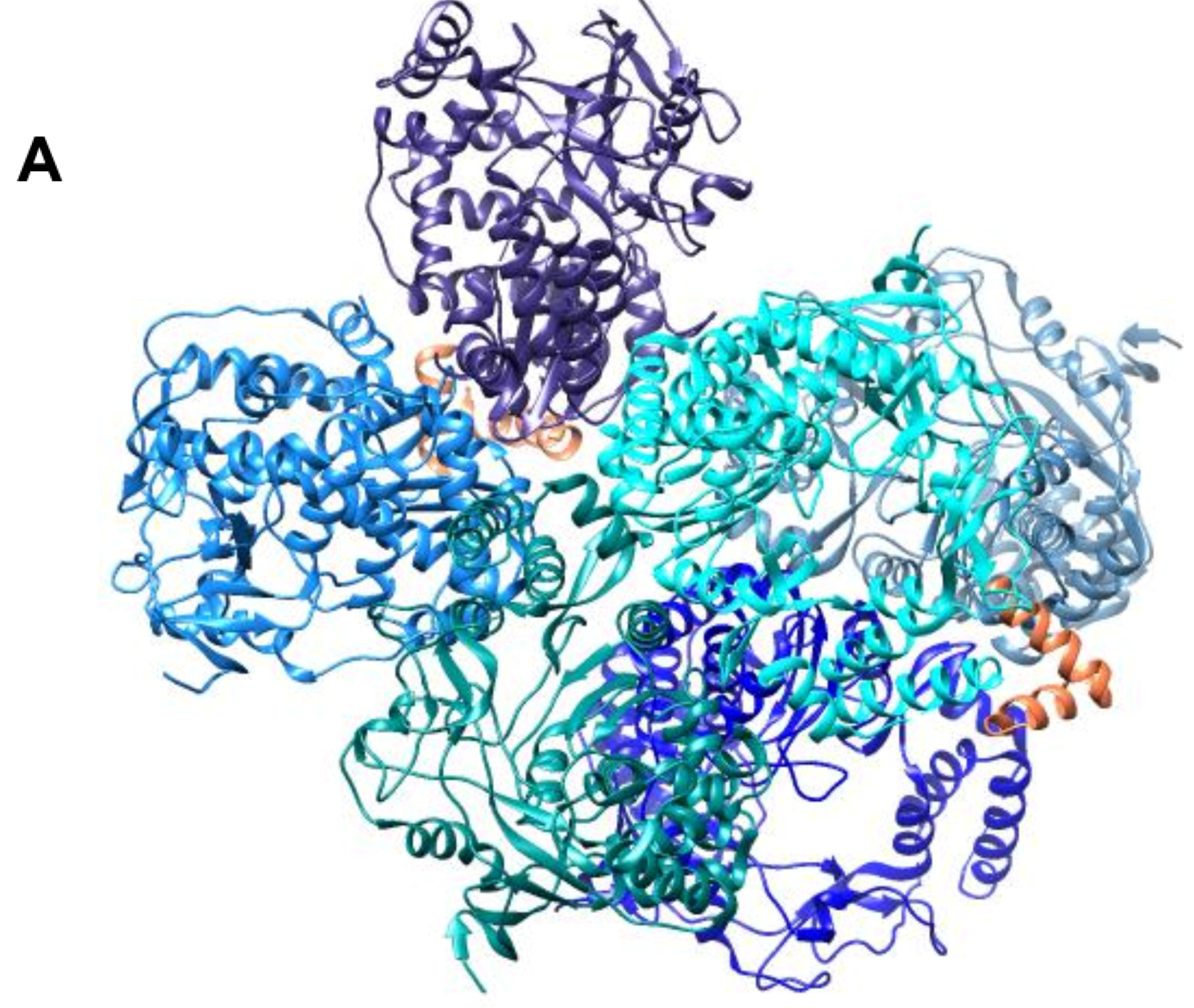 Viruses 14 02200 g002a