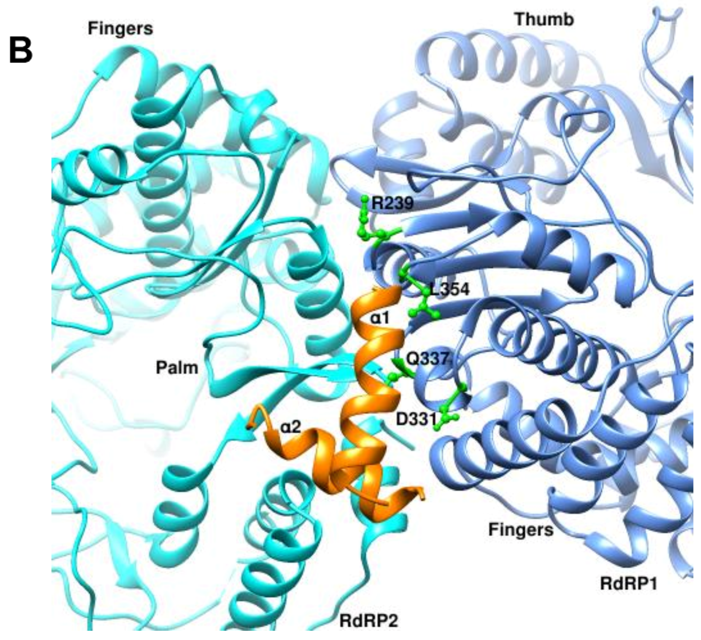 Viruses 14 02200 g002b