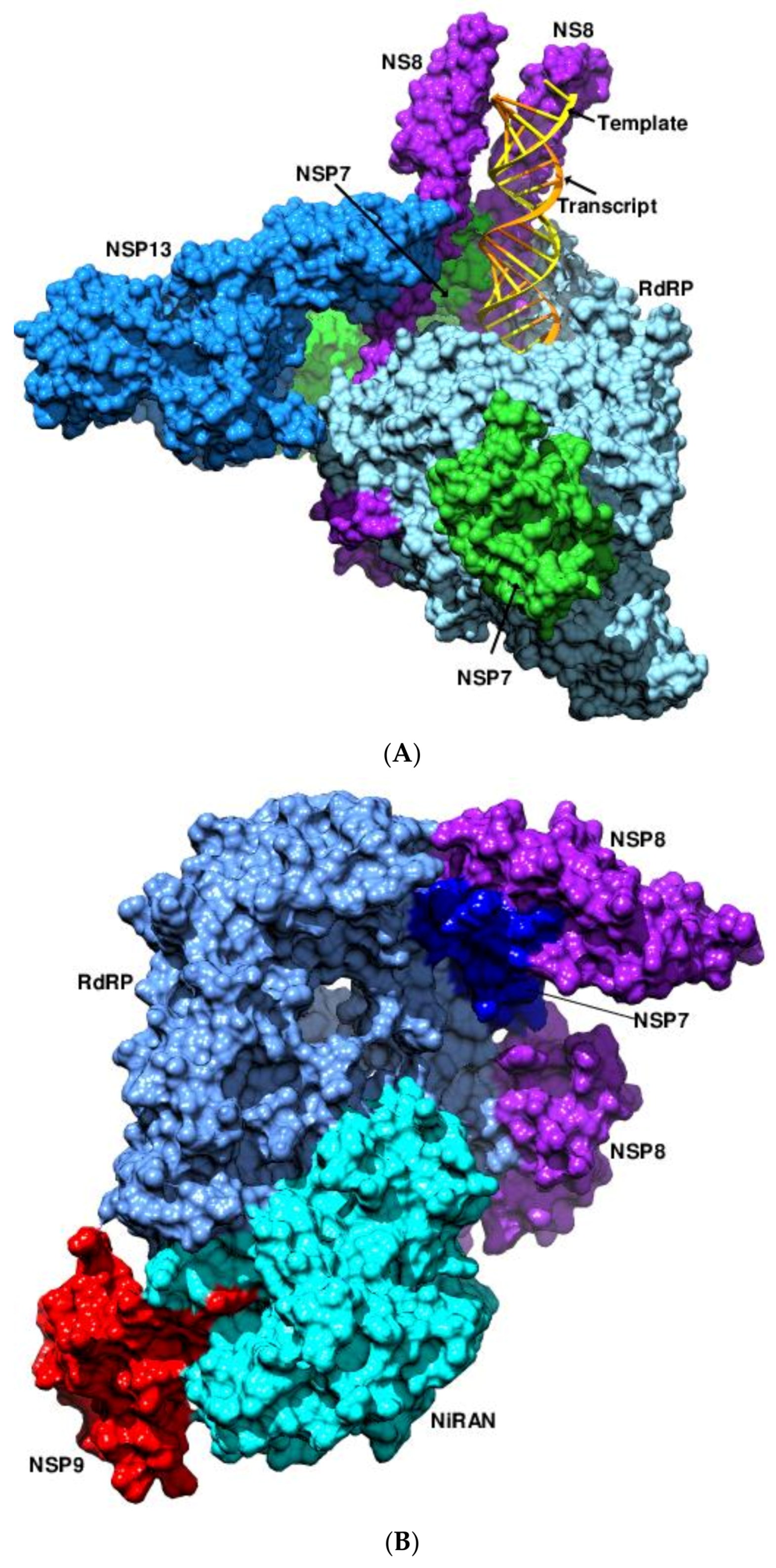 Viruses 14 02200 g003a