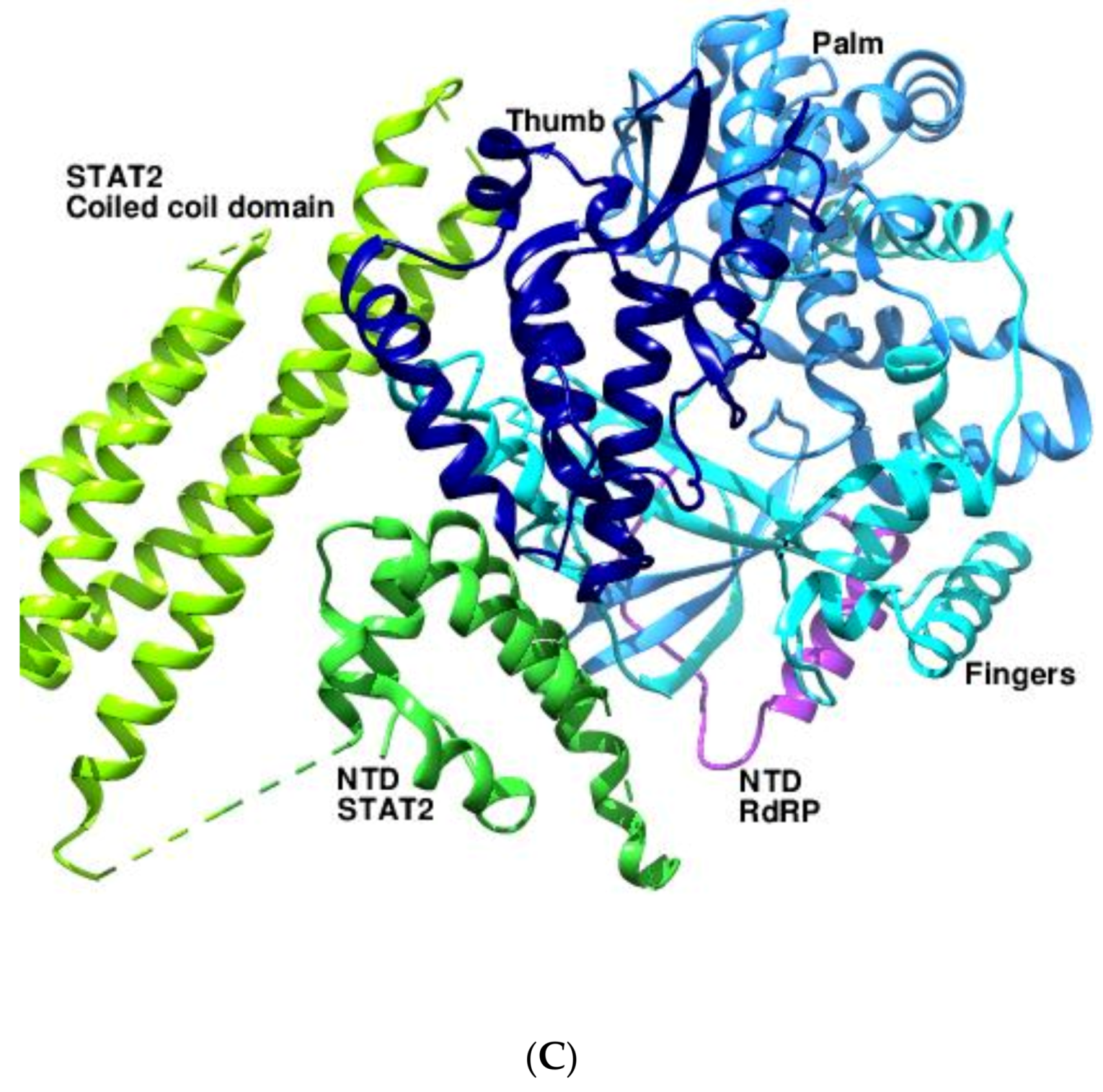 Viruses 14 02200 g003b