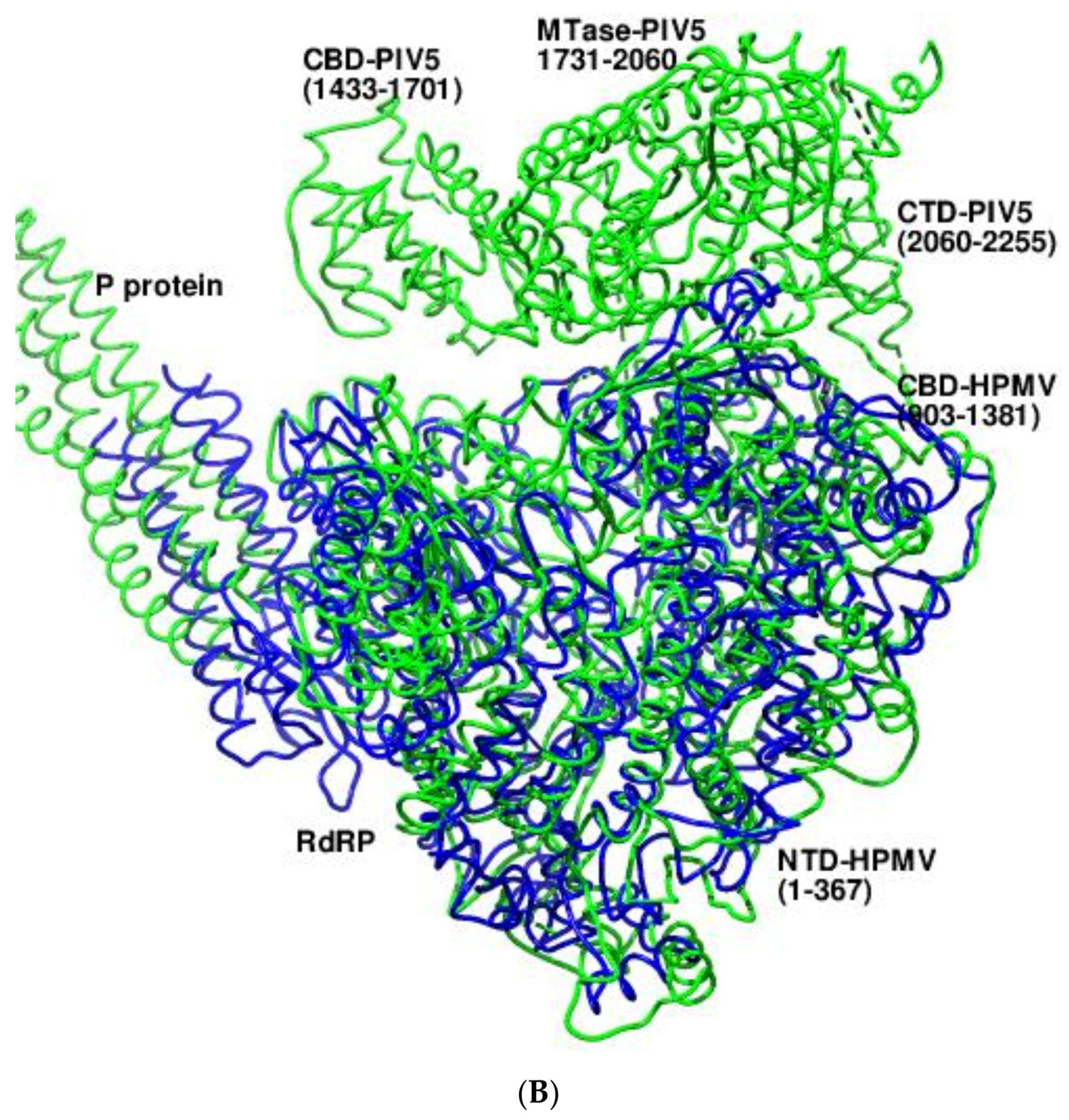 Viruses 14 02200 g004b